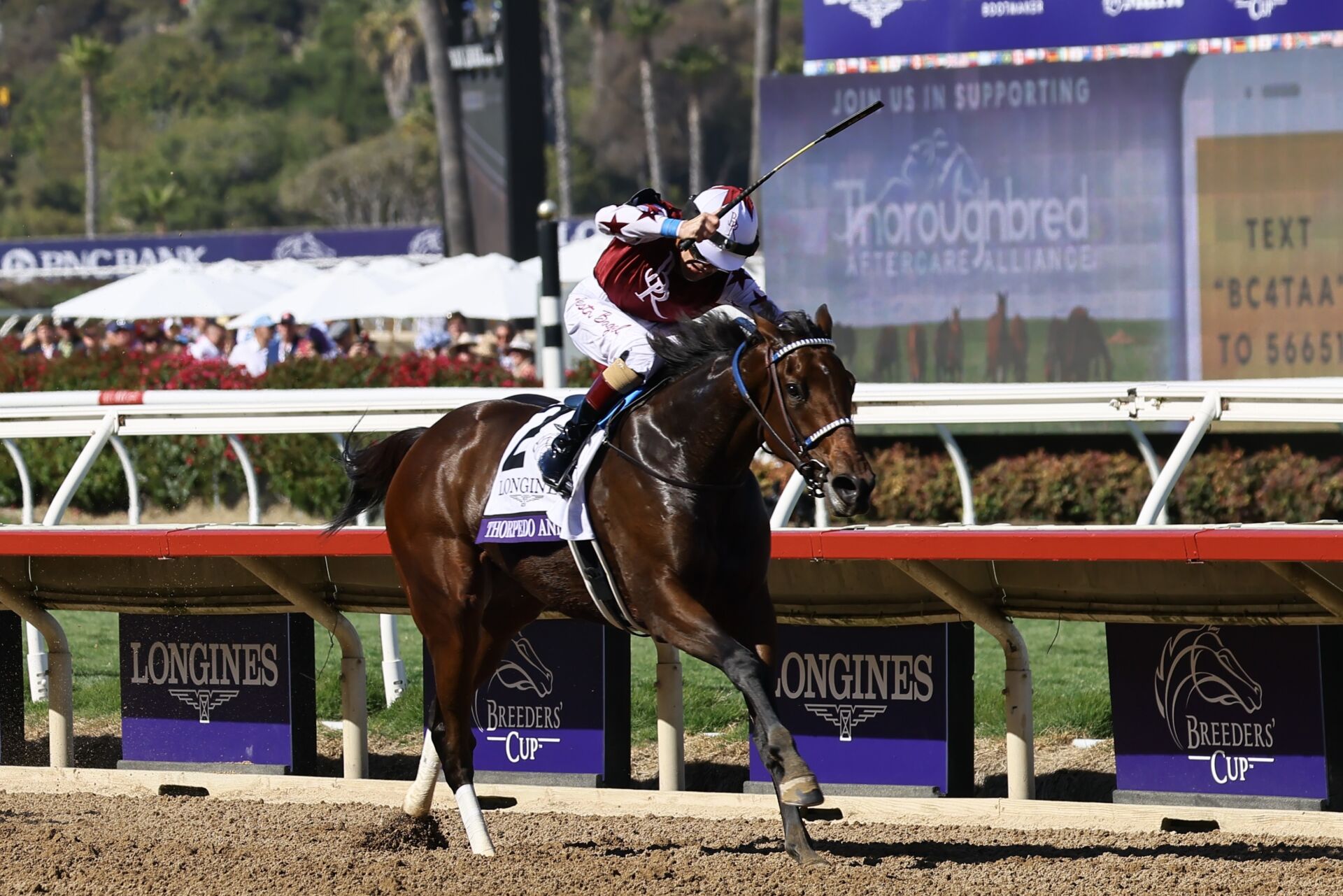 BCディスタフ】米3歳牝馬最強ソーピードアンナが逃げ切る…オーサム