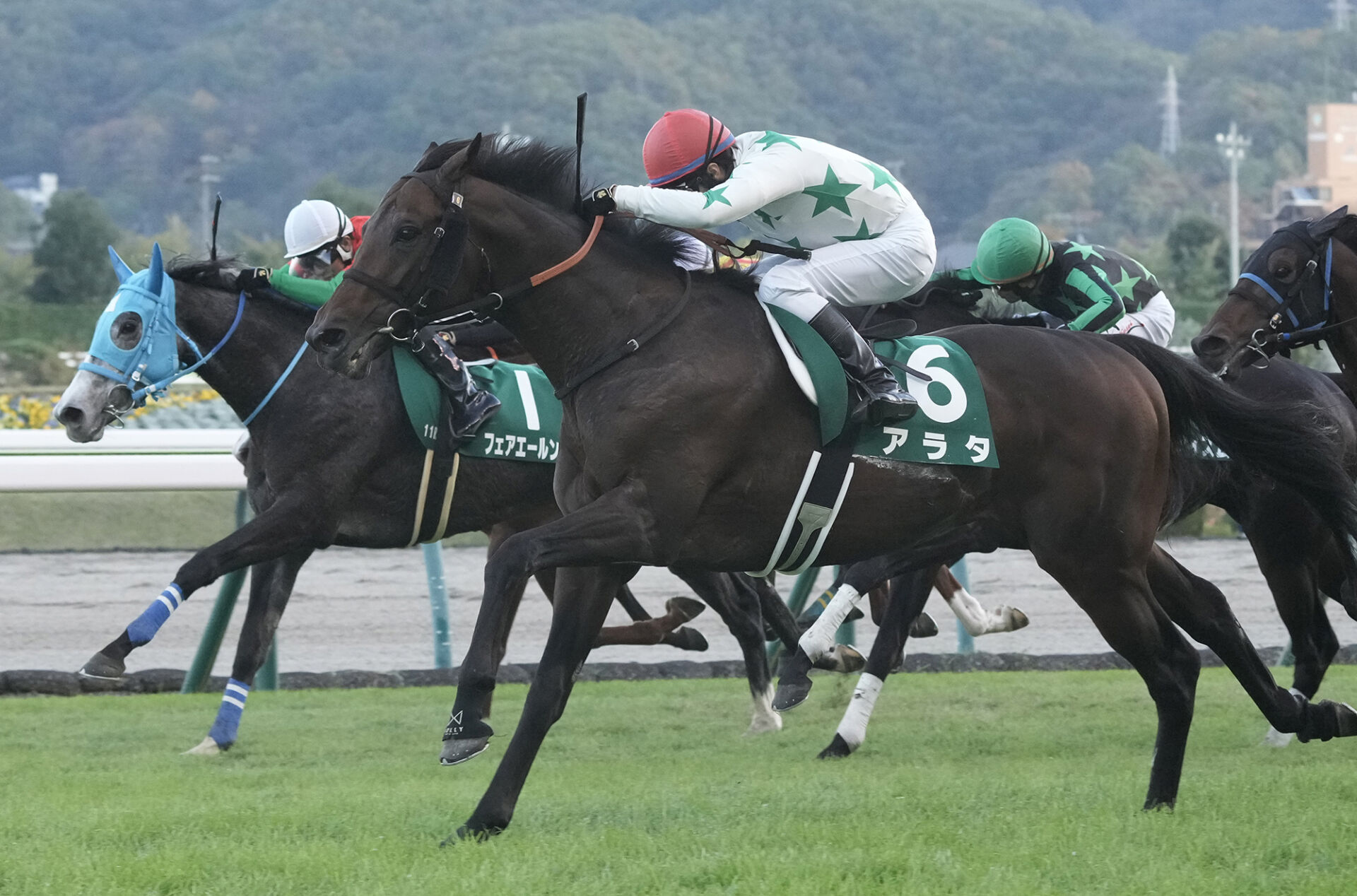 福島記念】3度目の正直でアラタがV…大野「感謝の気持ち」 | 競馬