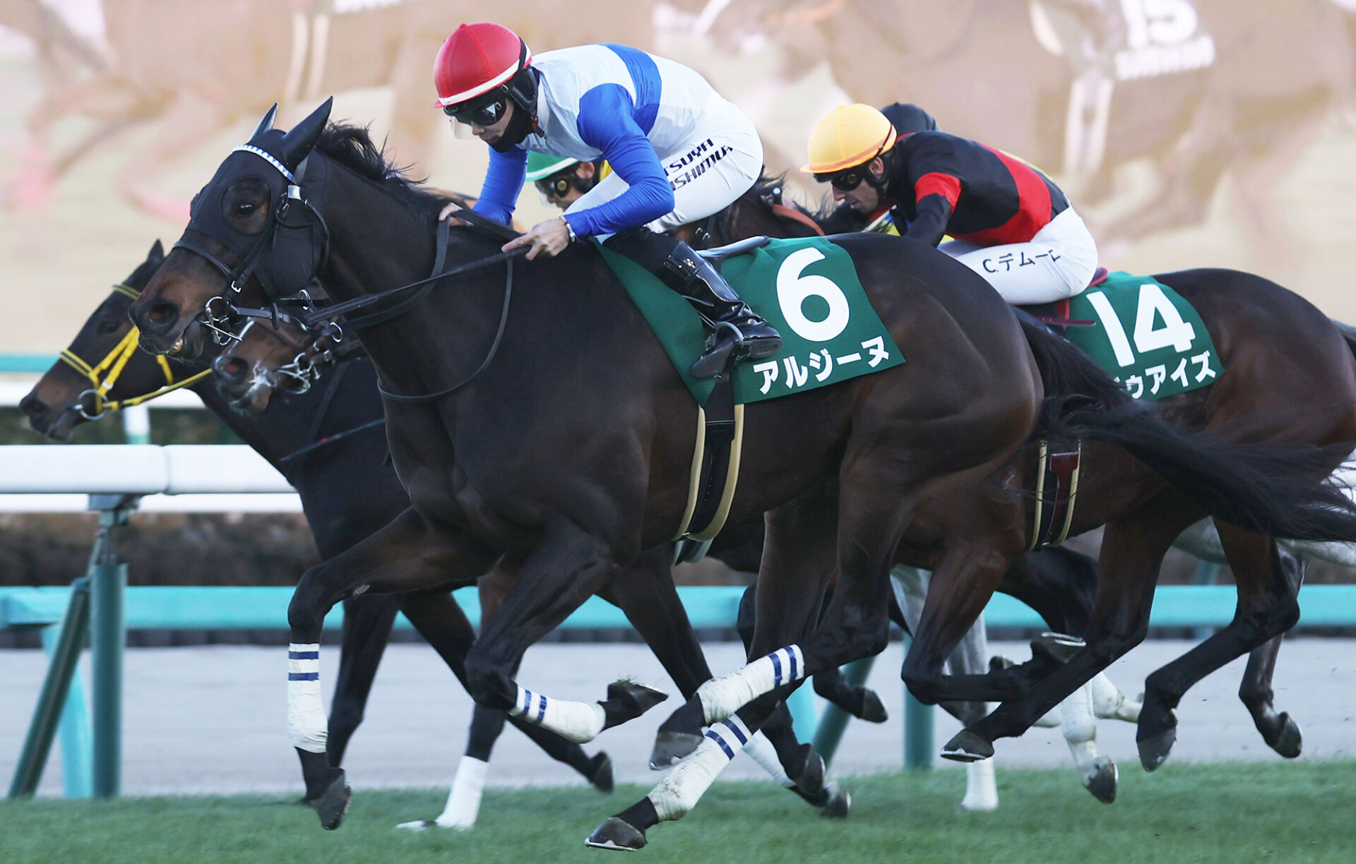 ターコイズS】西村淳「ポテンシャルの高い馬」アルジーヌが重賞初制覇