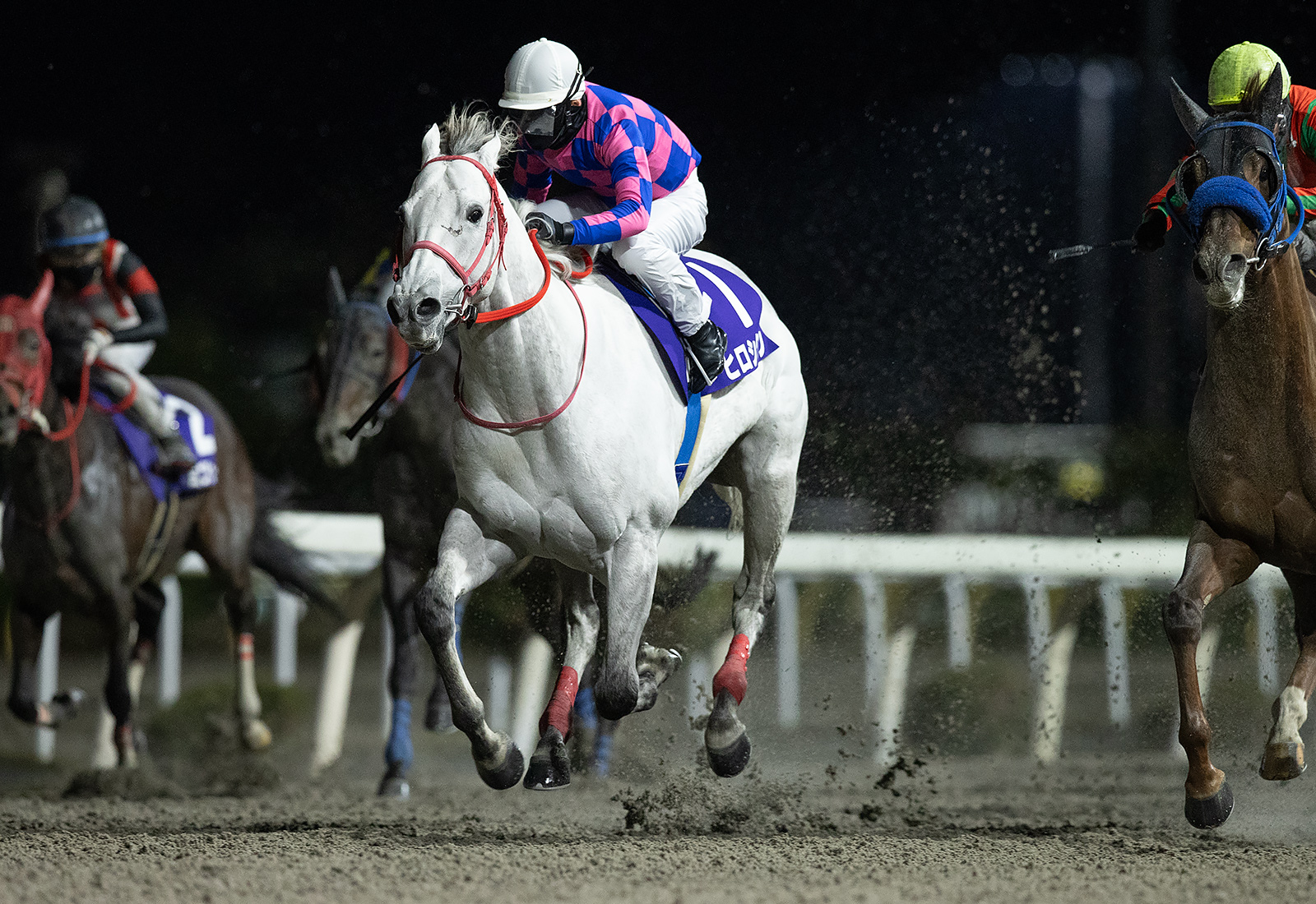 水沢・トウケイニセイ記念】ヒロシクンが接戦を制する…「次走は桐花賞