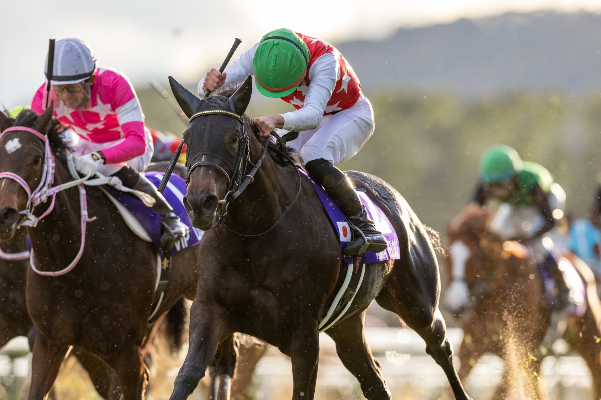 WIN5は77万円超の払戻し…阪神JFはアルマヴェローチェがV | 競馬