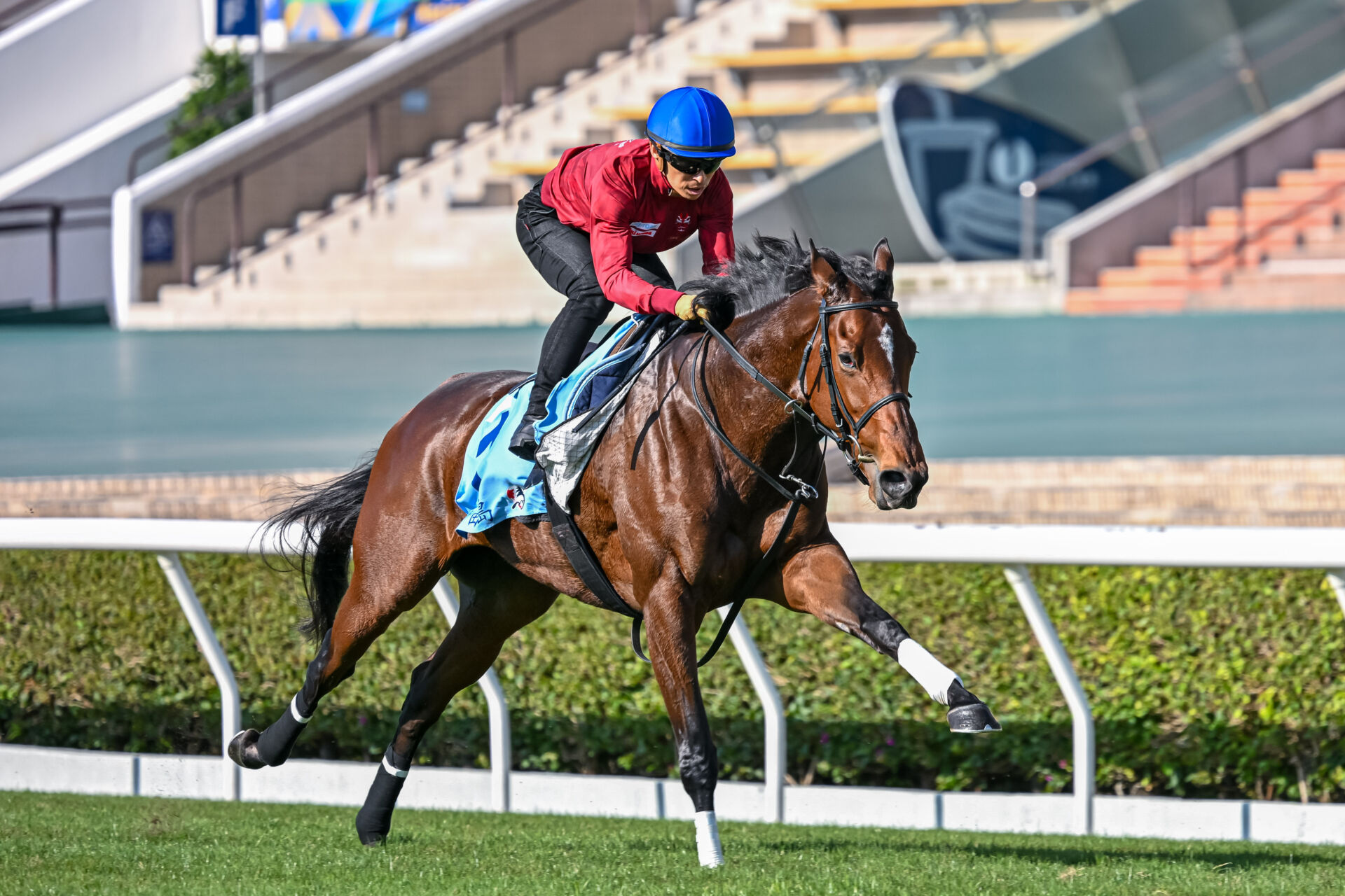 3f3cc9e401431f28aeb017f36bf070