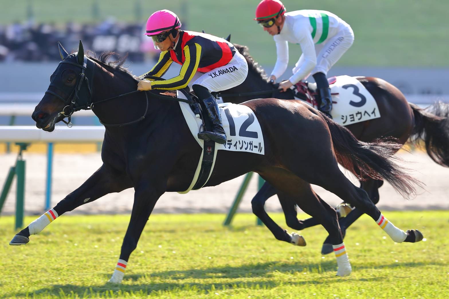 54fc23454a7daa3b3a079235d711a2