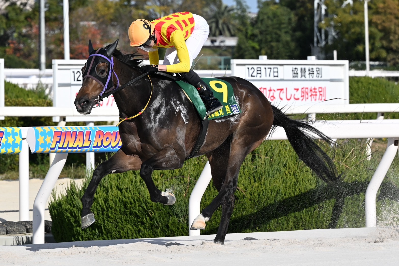 YJS ファイナルラウンド園田】大井所属・鷹見陸が暫定首位 | 競馬