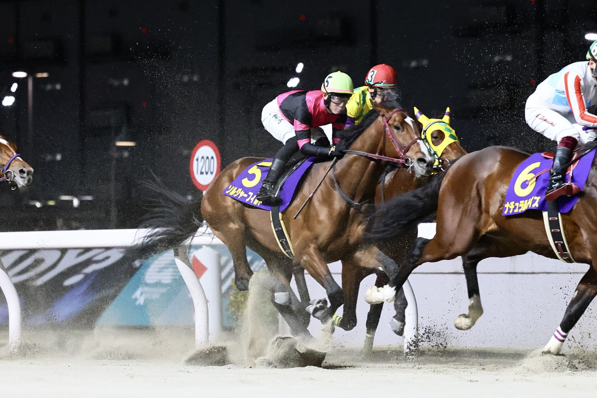 全日本2歳優駿】小野「若干ブレーキがかかった」門別ソルジャー