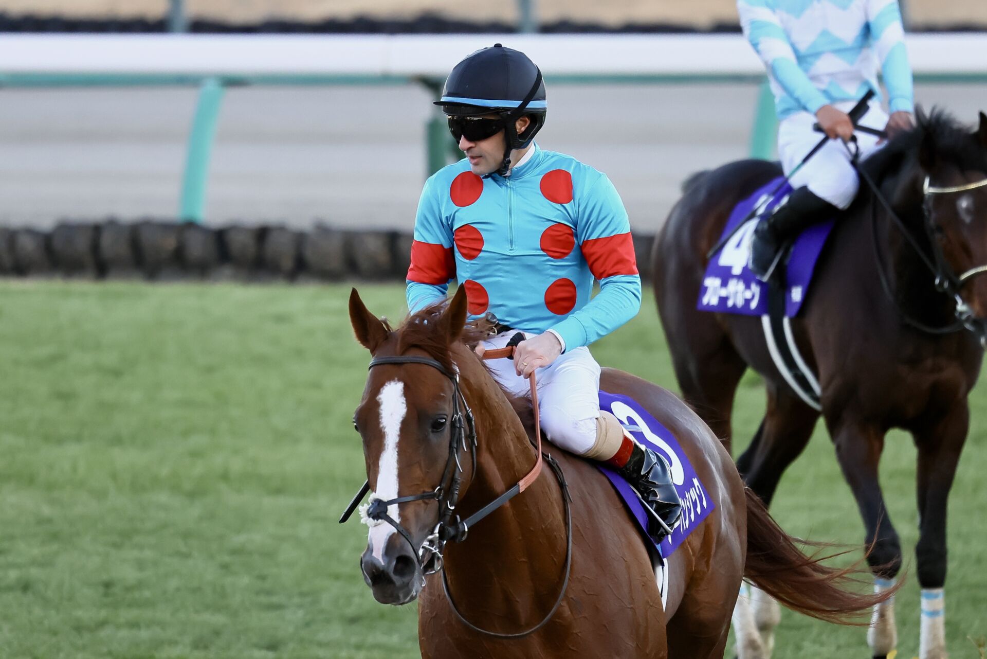 有馬記念】ルメール「超スローペースになった」レース後ジョッキー