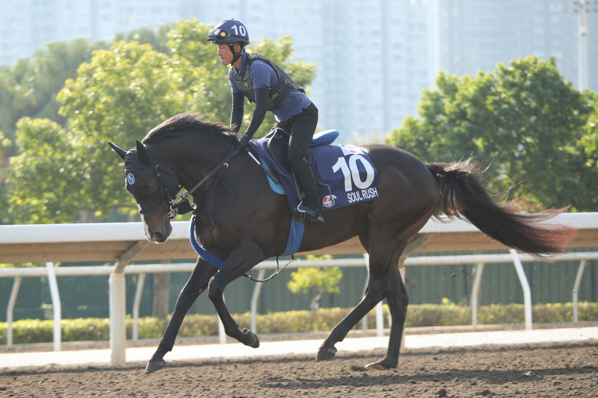 香港マイル】池江師「よく頑張りました」ソウルラッシュは惜しい2着