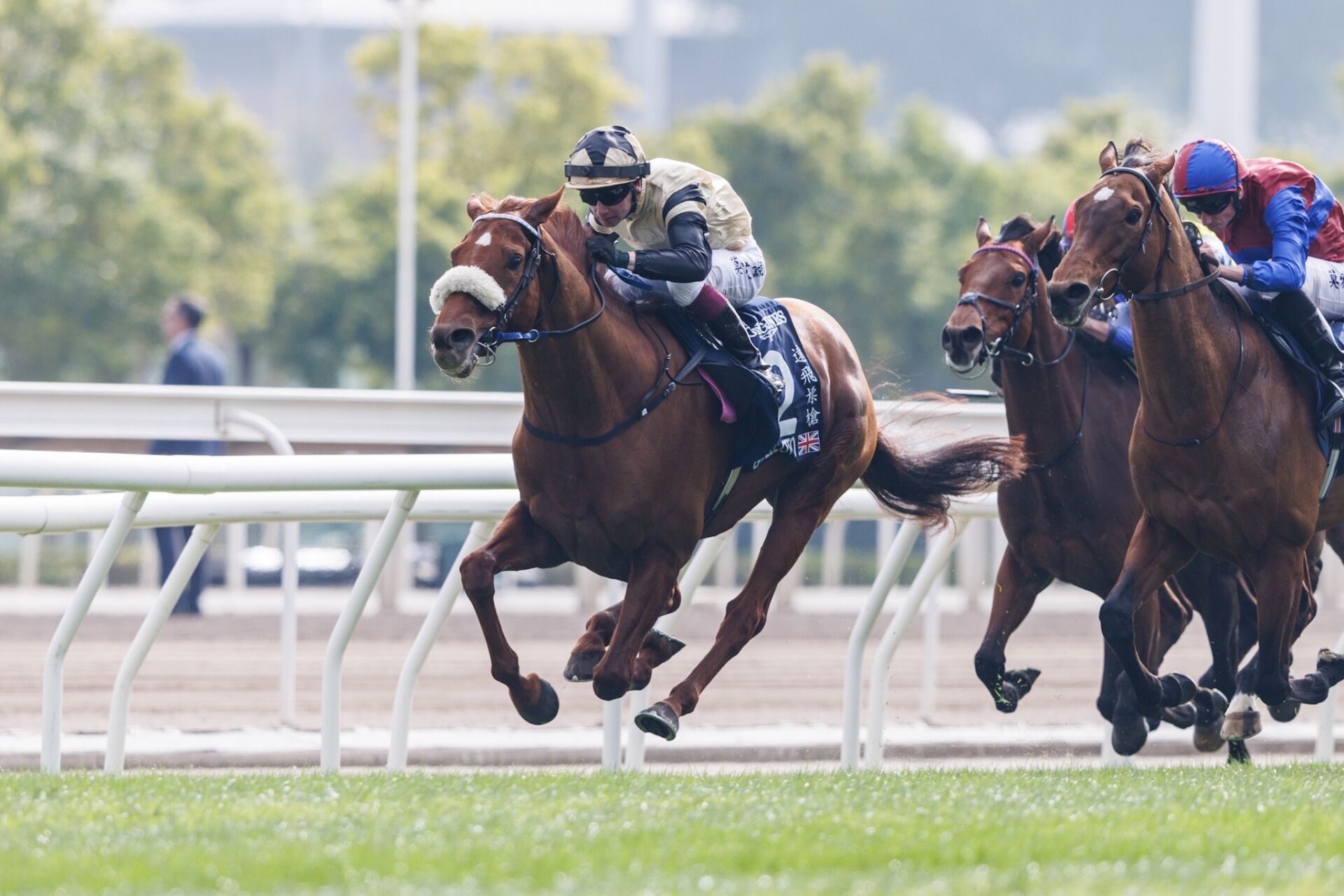 e81289ac6f5bc4d4965cccc56c71a4