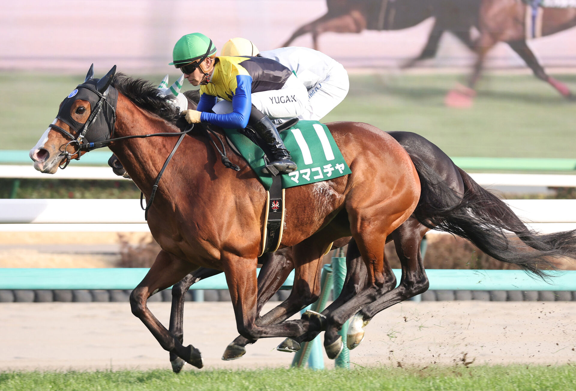 オーシャンS】川田「やっとこの馬らしく動くことが出来た」ママコチャ