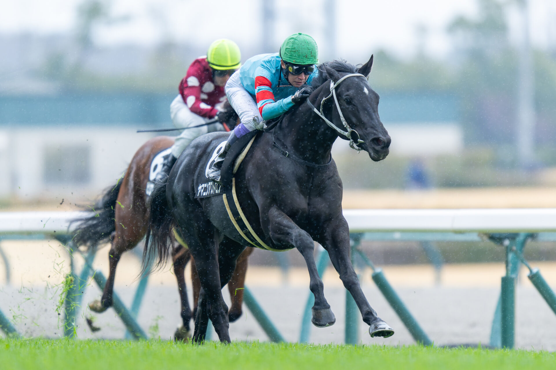 競馬ドウデュース武豊J 特大ポスターB1サイズ728mm×1030mm