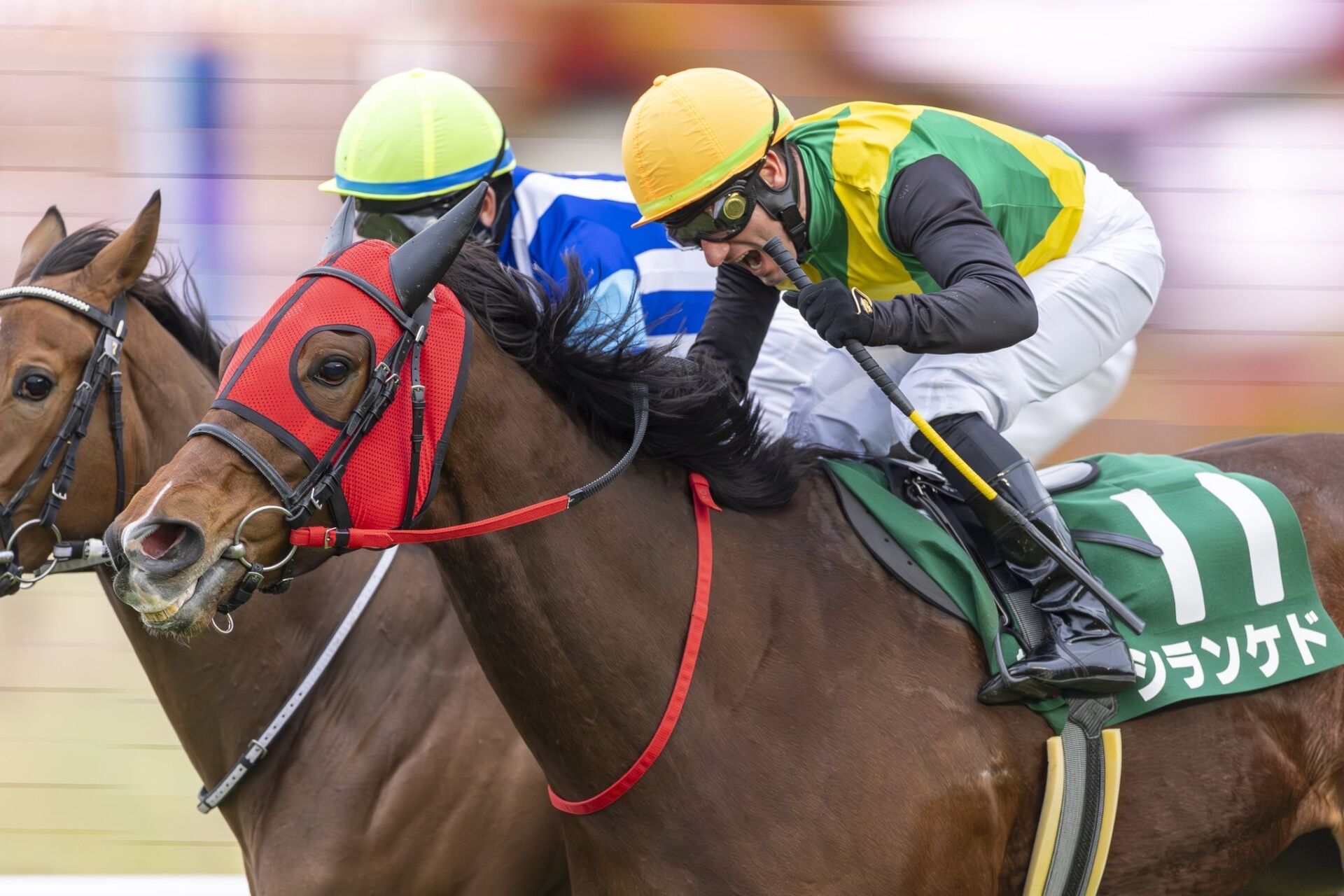 中山牝馬S】デムーロ「落ち着いていたらすごく能力が高い」シランケド