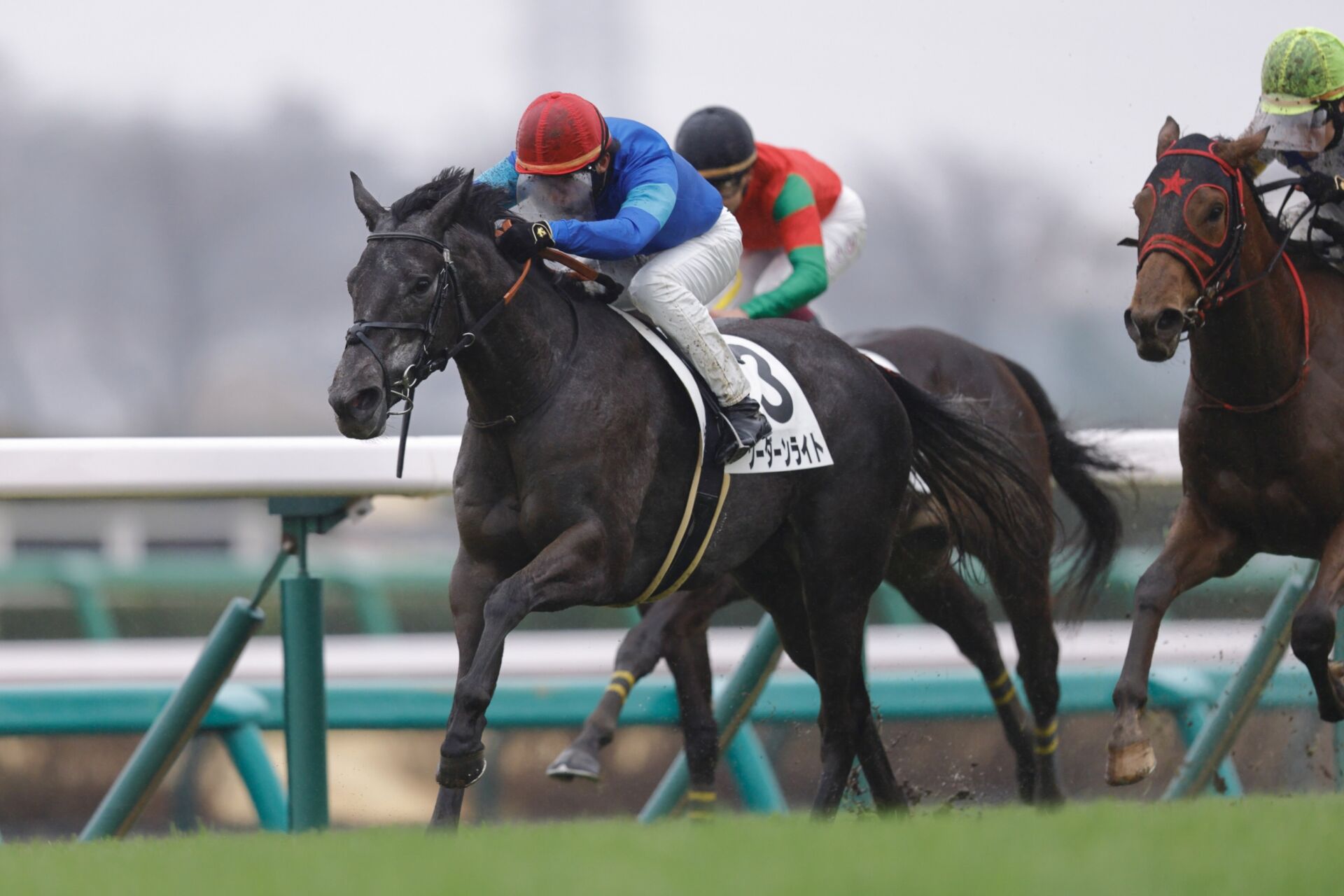 上州勝山 六甲全山縦走→宝塚箕面トレイルコース開拓(中山連山・石切山・五月山公園)