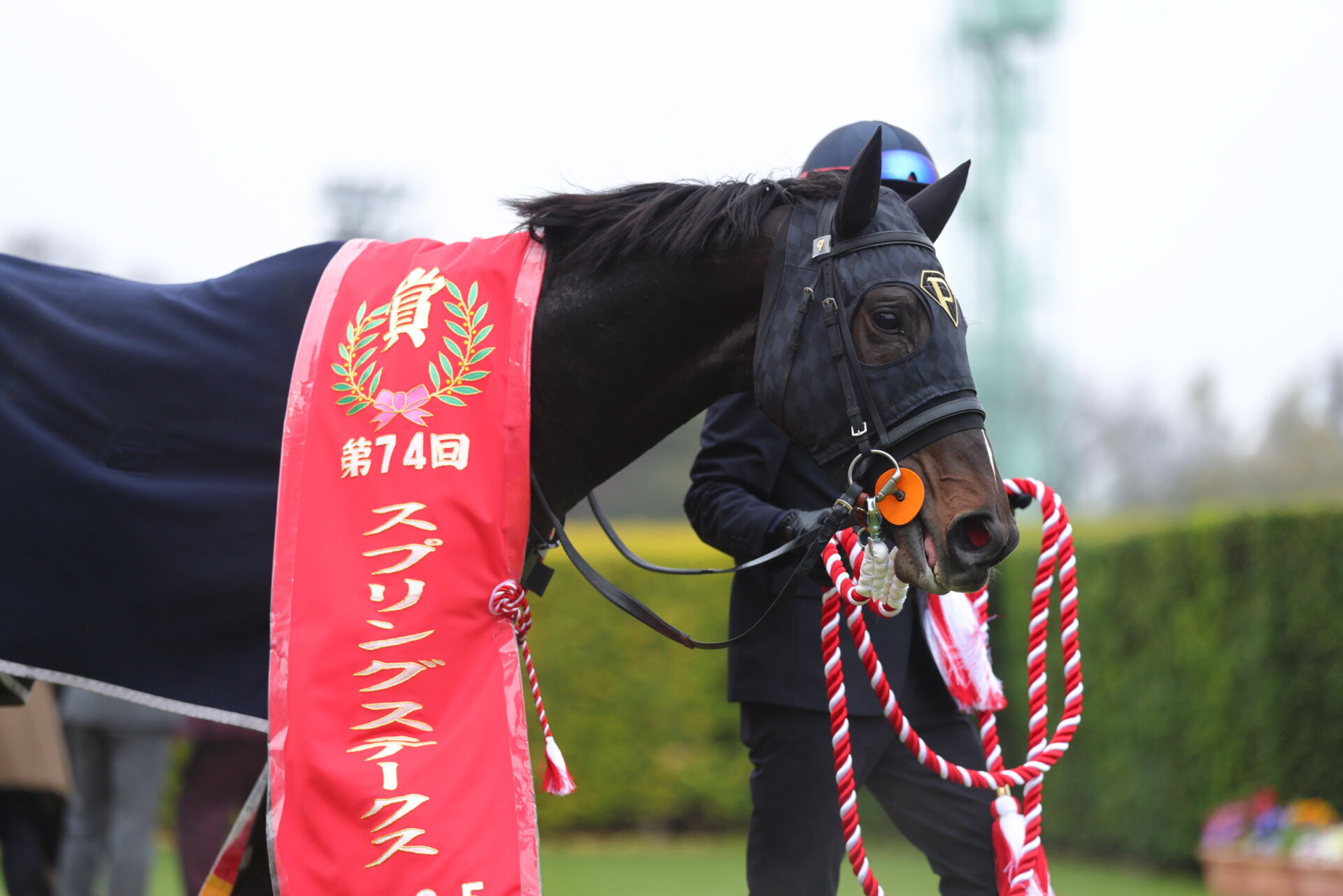 まねき馬倶楽部 1534 石橋騎手 直筆
