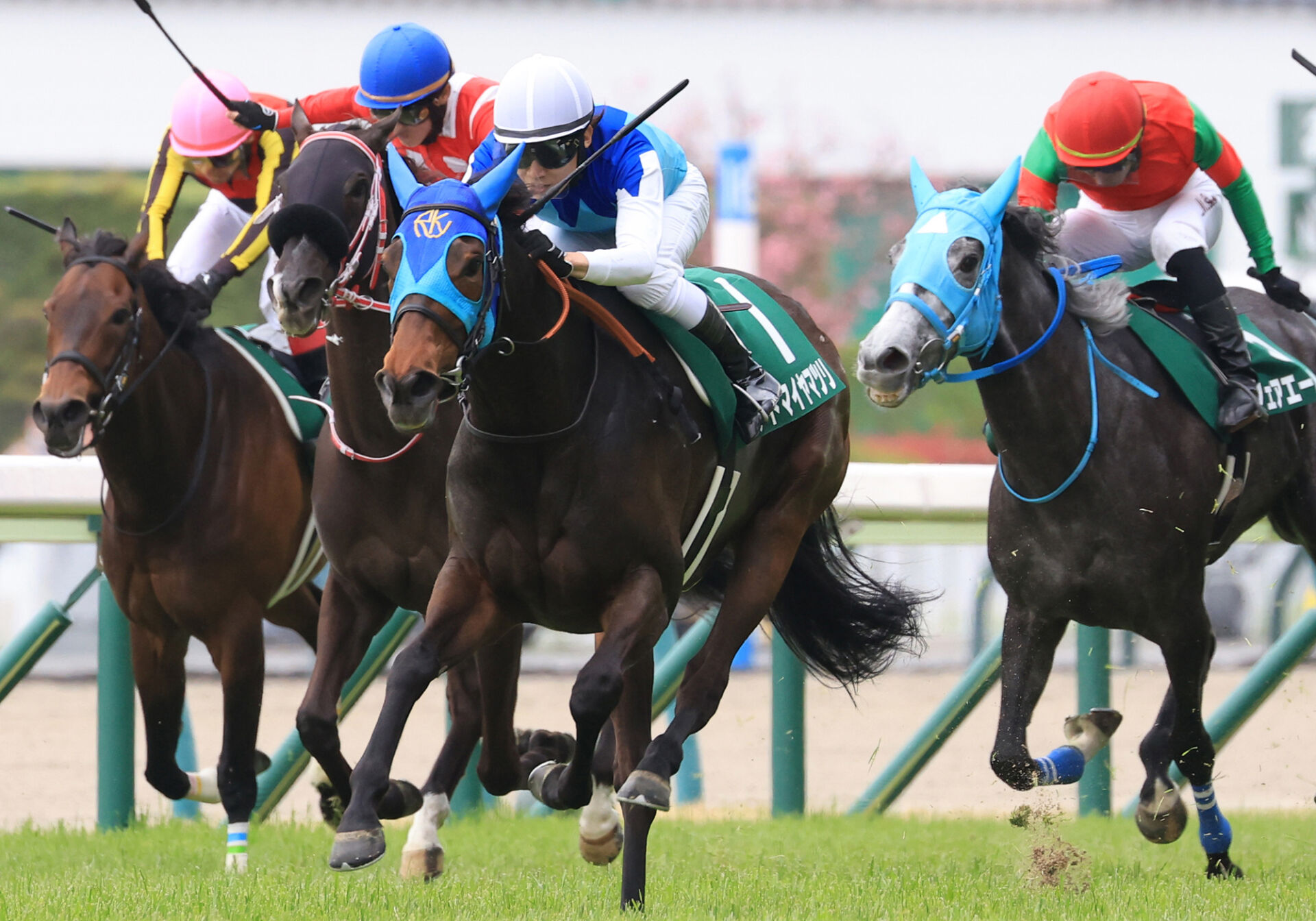 牝馬 sddefault.jpg