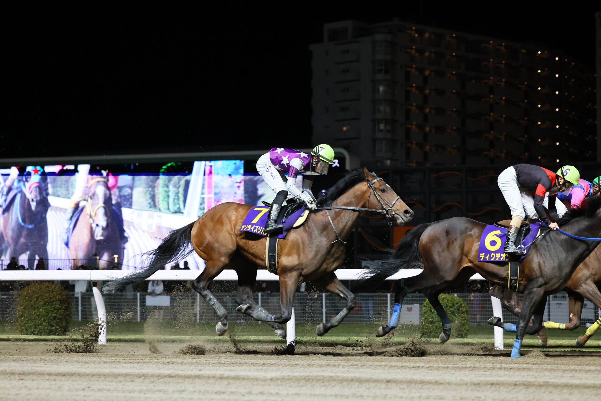 【二刀流】サンライズジパング【期間限定】 注目馬動向】二刀流サンライズジパングが芝3000メートルのレッド