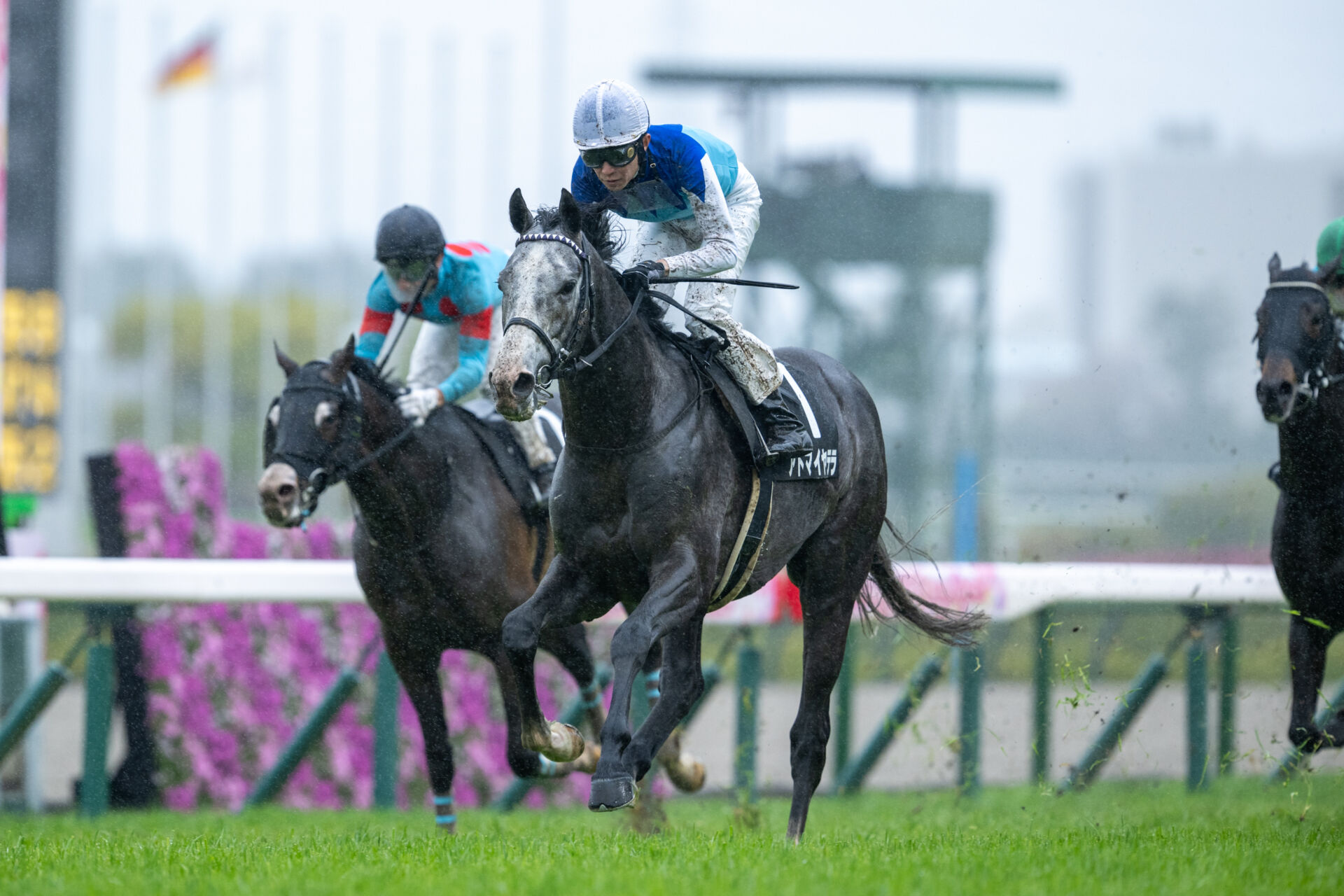 大阪-ハンブルクC】武豊アドマイヤテラが快勝 | 競馬ニュースなら競馬