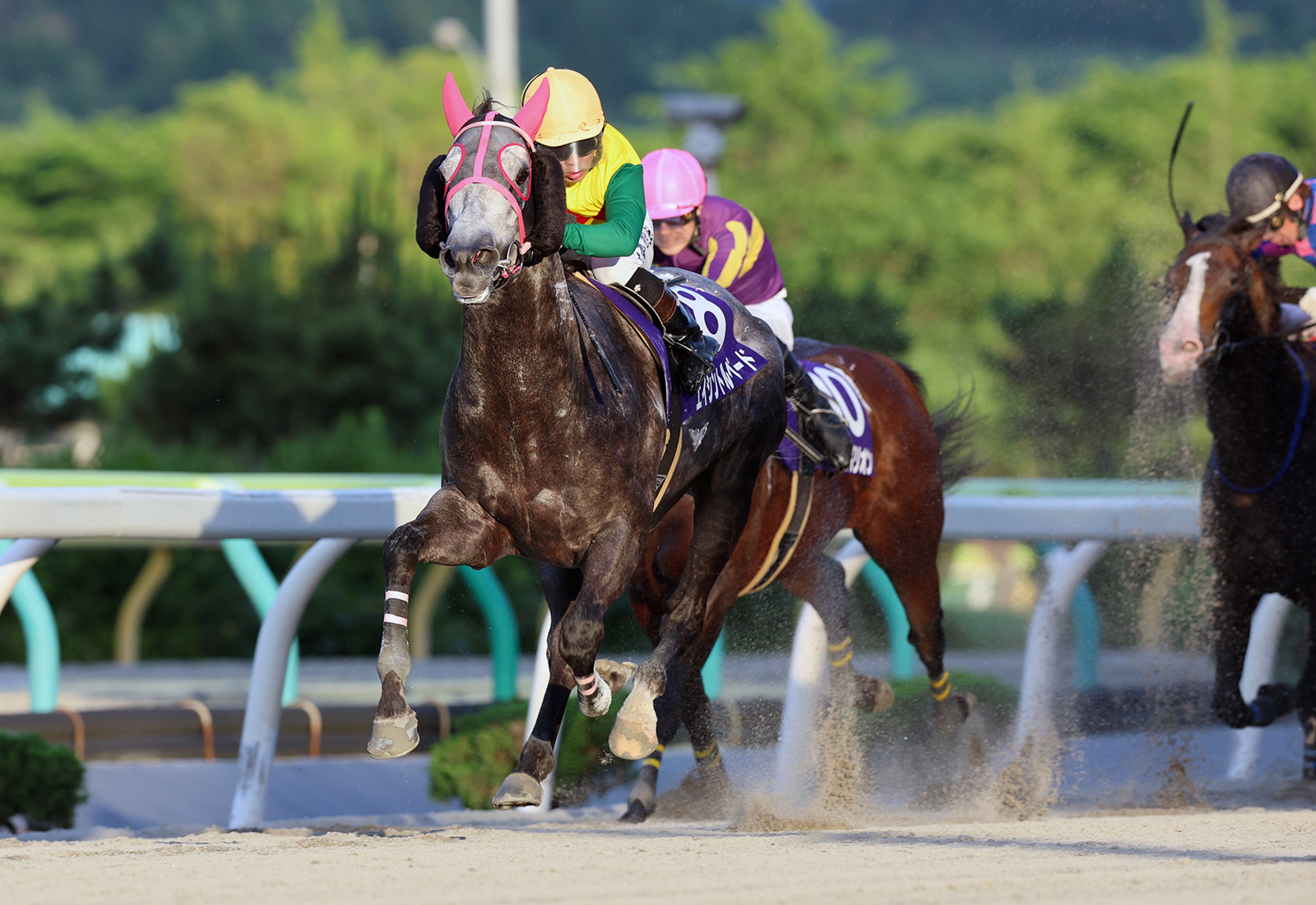 水沢・早池峰スーパースプリント】エイシントルペードが転入初戦で重賞