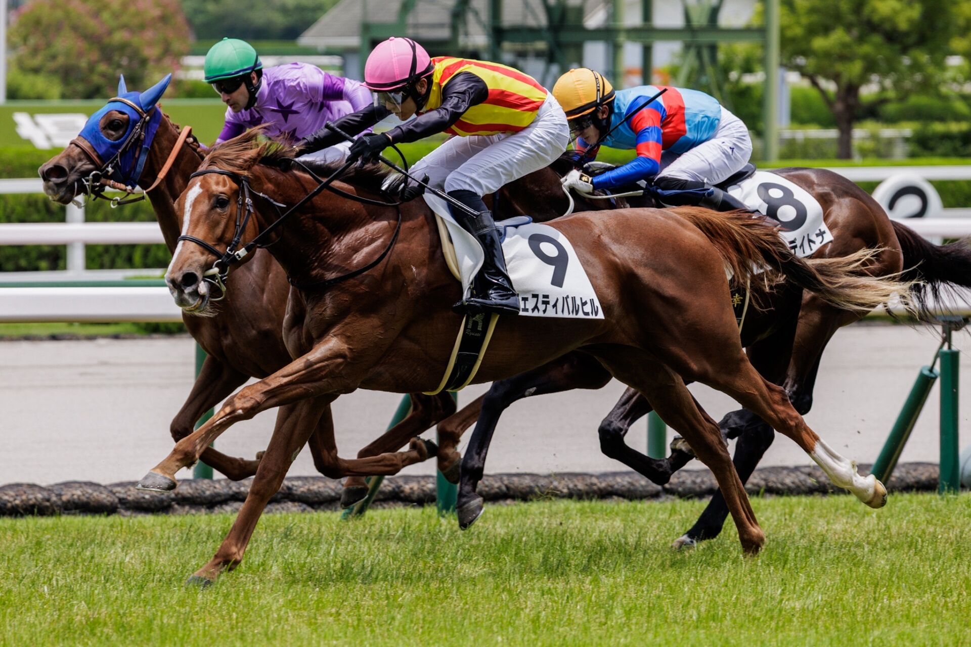 馬神弾 リバイバル BSC22】リバイバルブースター【龍皇再誕】 商品検索 | ドラゴンスター