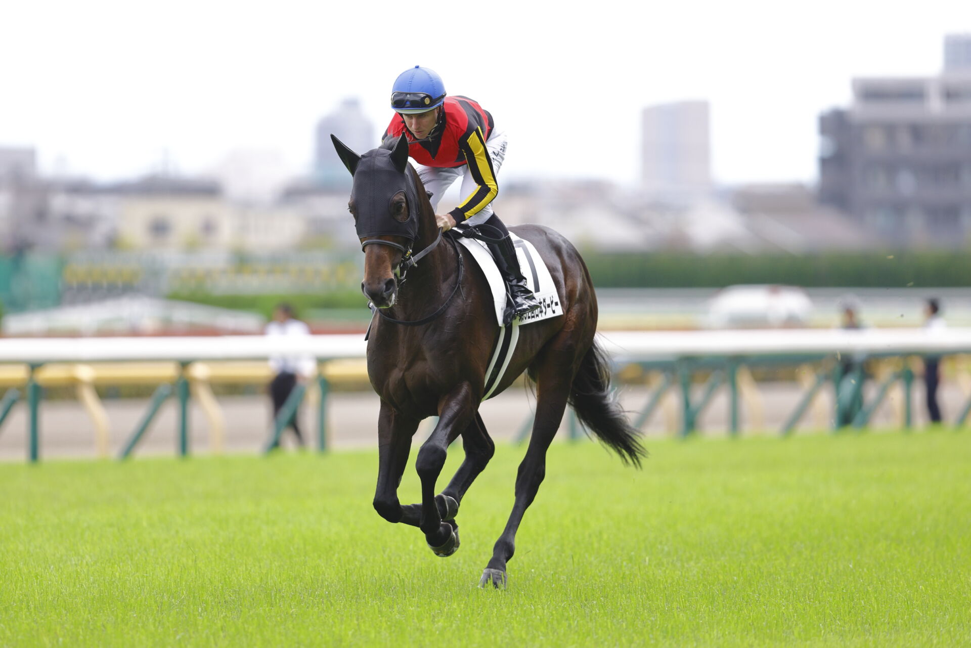 日本ダービー】レーン「ポジションの差が出た」皐月賞馬ミュージアム