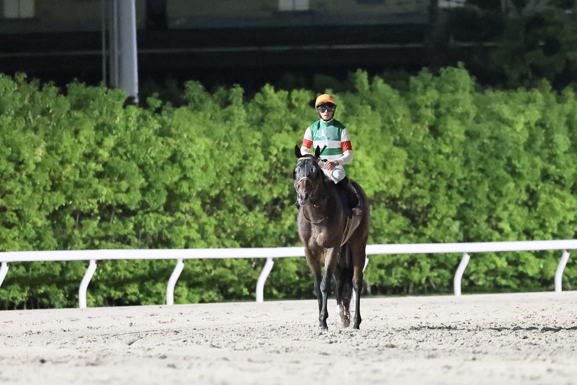 東京ダービー】吉村誠「3角手前から追い出すような感じで