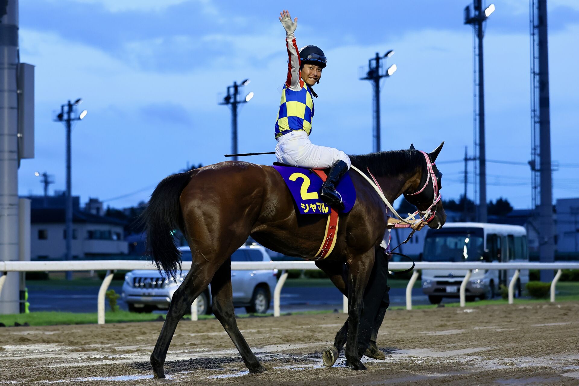 競馬エイト・裏ワザで大儲け 競馬エイト・裏ワザで大儲け (サラ・ブックス) | 岡田 和裕 |本