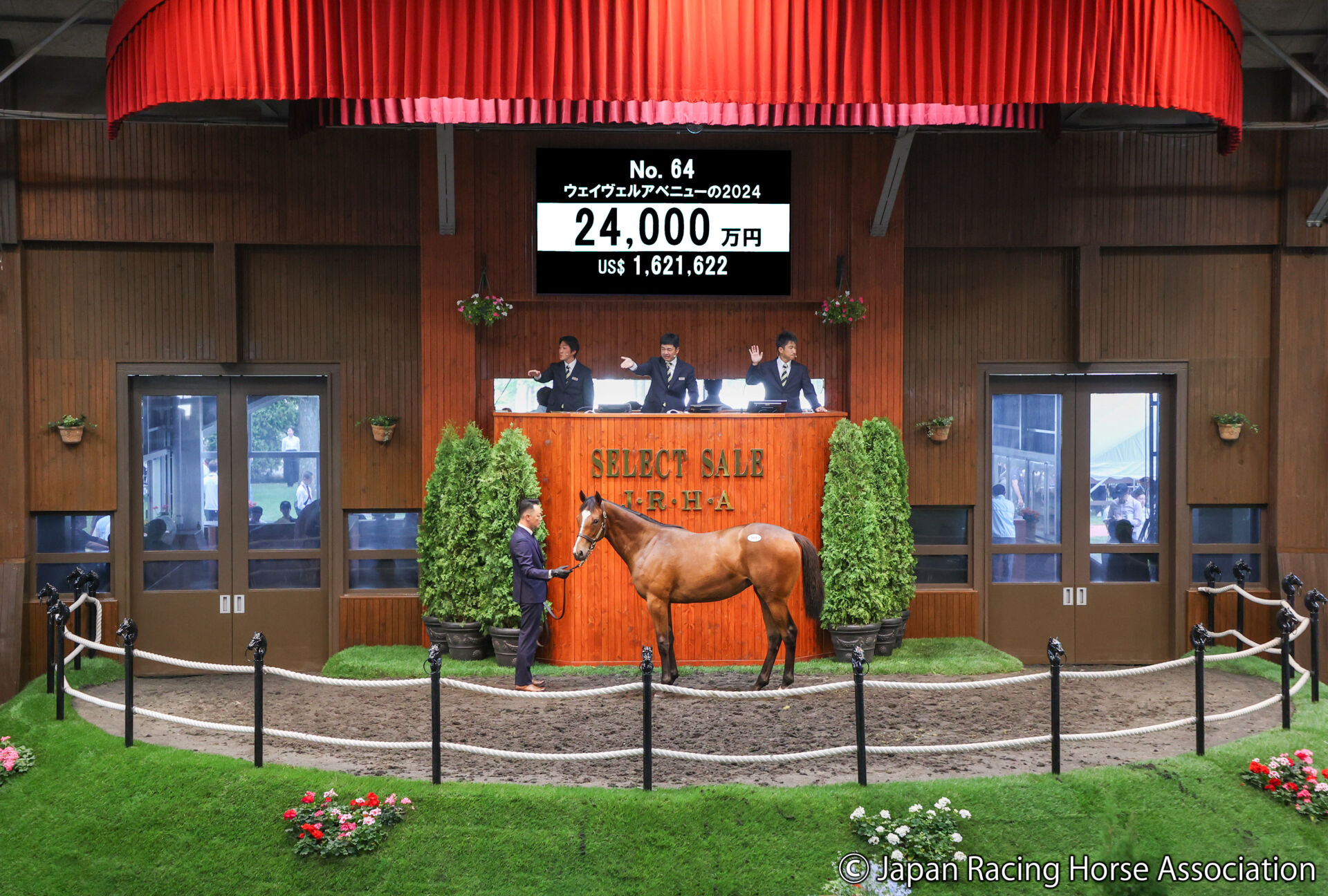 セレクトセール2025】サートゥルナーリア産駒に2億4000万円…グレ