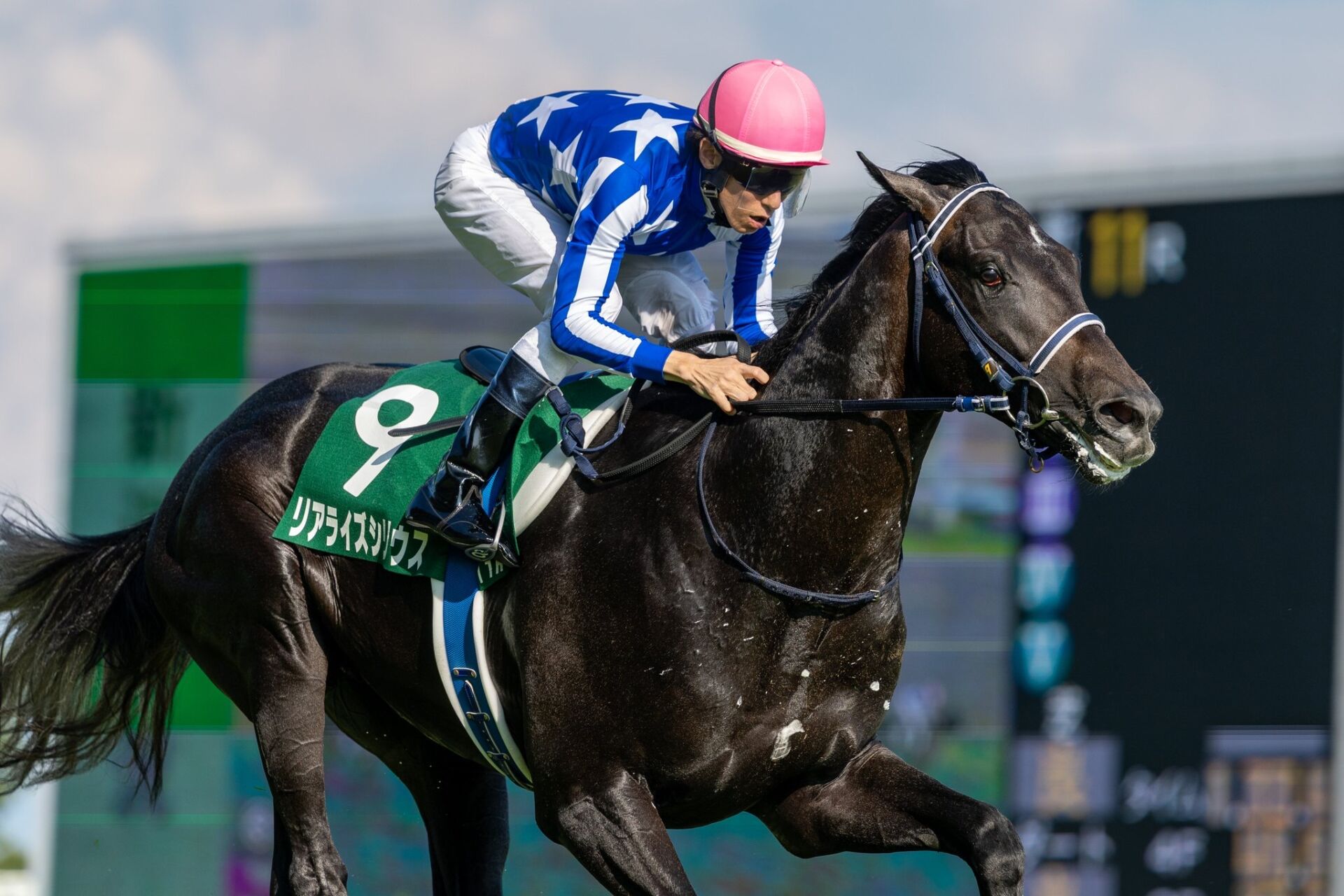 リアライズシリウス　メイクデビュー東京　現地的中単勝馬券　新潟2歳S勝ち馬 71B2DB6F-116E-46A0-B0AA-