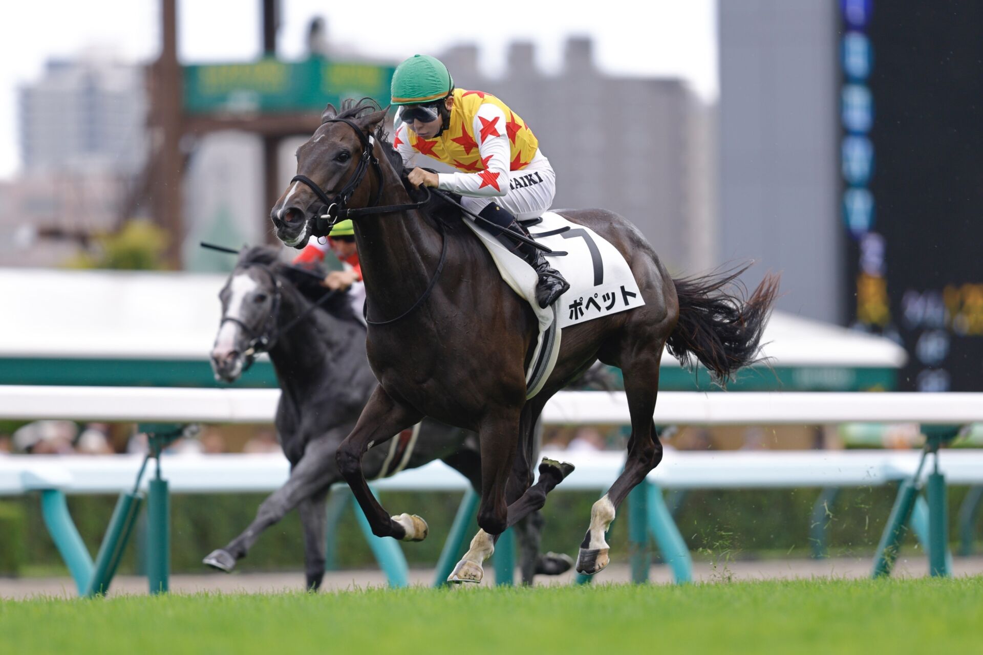 シーキングザパール　武豊　競走馬　写真パネル　額縁入り　スポーツ新聞付き シーキングザパール 武豊 競走馬 写真パネル 額縁入り スポーツ