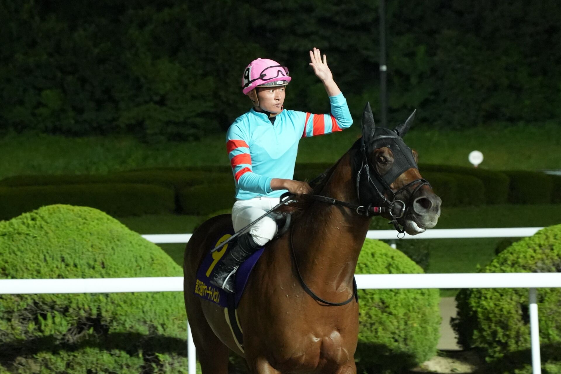 佐賀・サマーチャンピオン】岩田望「すごい勝負強さ見せた」ヤマニン