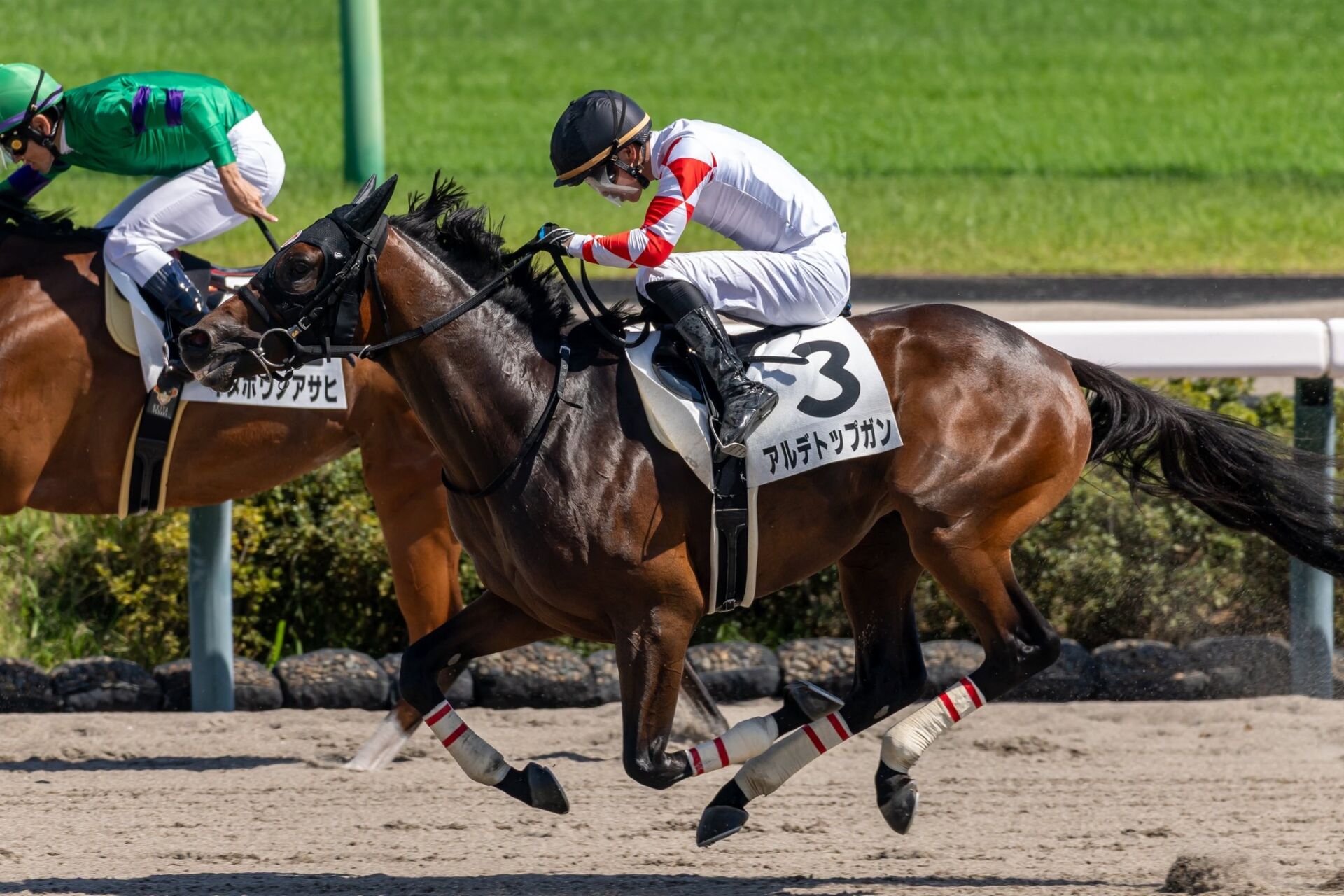 ☆【送料込み】デュランダル 2歳新馬(現地的中)☆ 【公式通販】