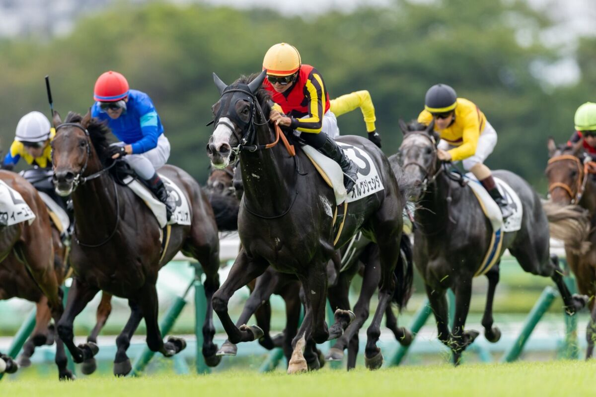 中山馬主協会　モーリス　ぬいぐるみ　フランシスベリー　若潮賞　2015年　ウマ娘 中山馬主協会 モーリス ぬいぐるみ フランシスベリー 若潮賞