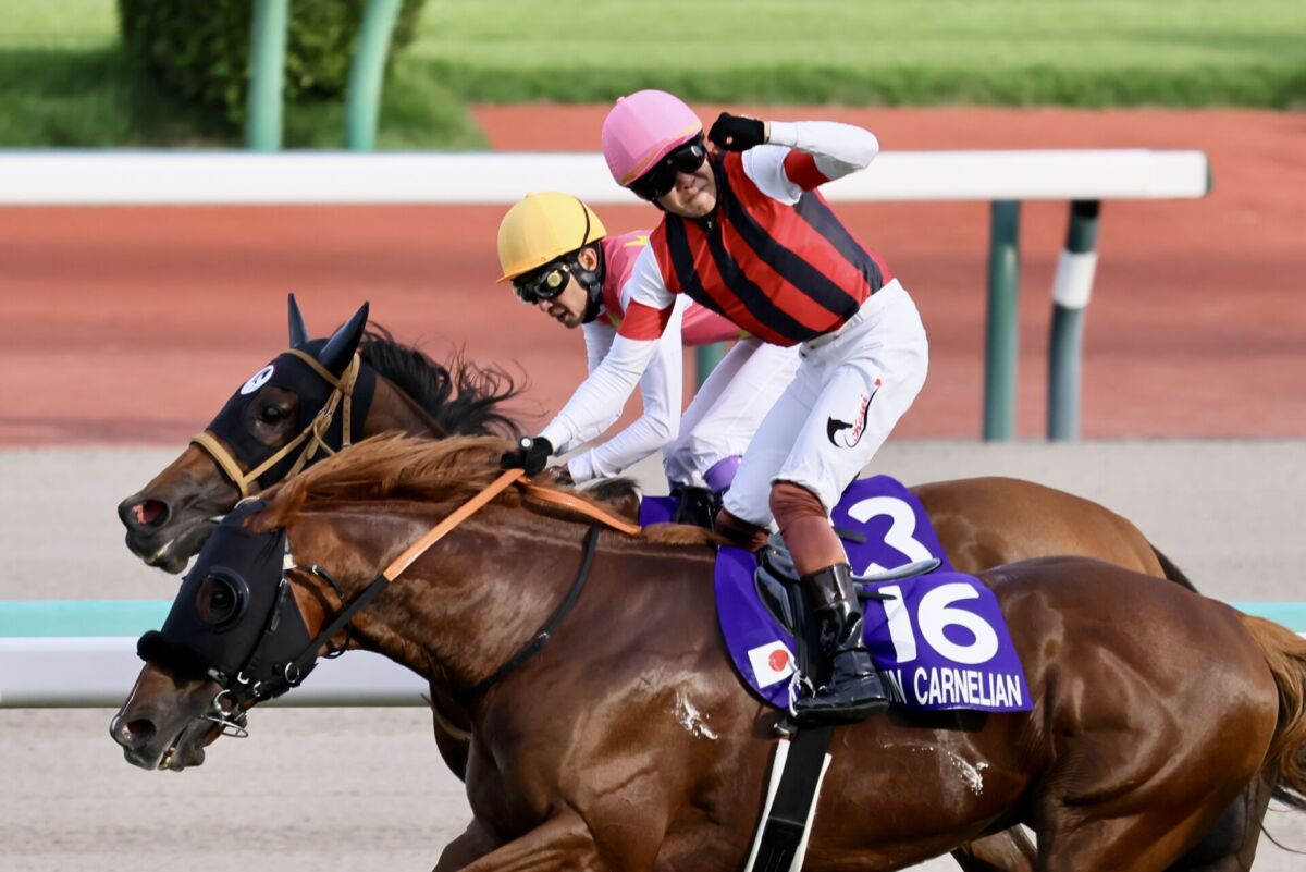 jra競馬スプリンターズS トロットスター優勝パネル jra競馬スプリンターズS トロットスター優勝パネル