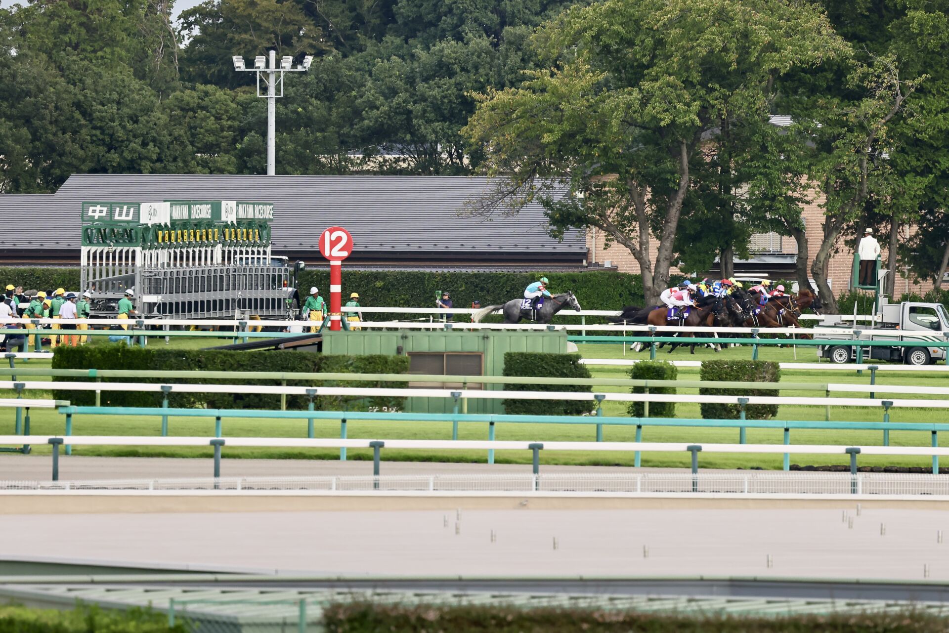 スプリンターズS】ヤマニンアルリフラ発馬機トラブルで出遅れ15着…団野