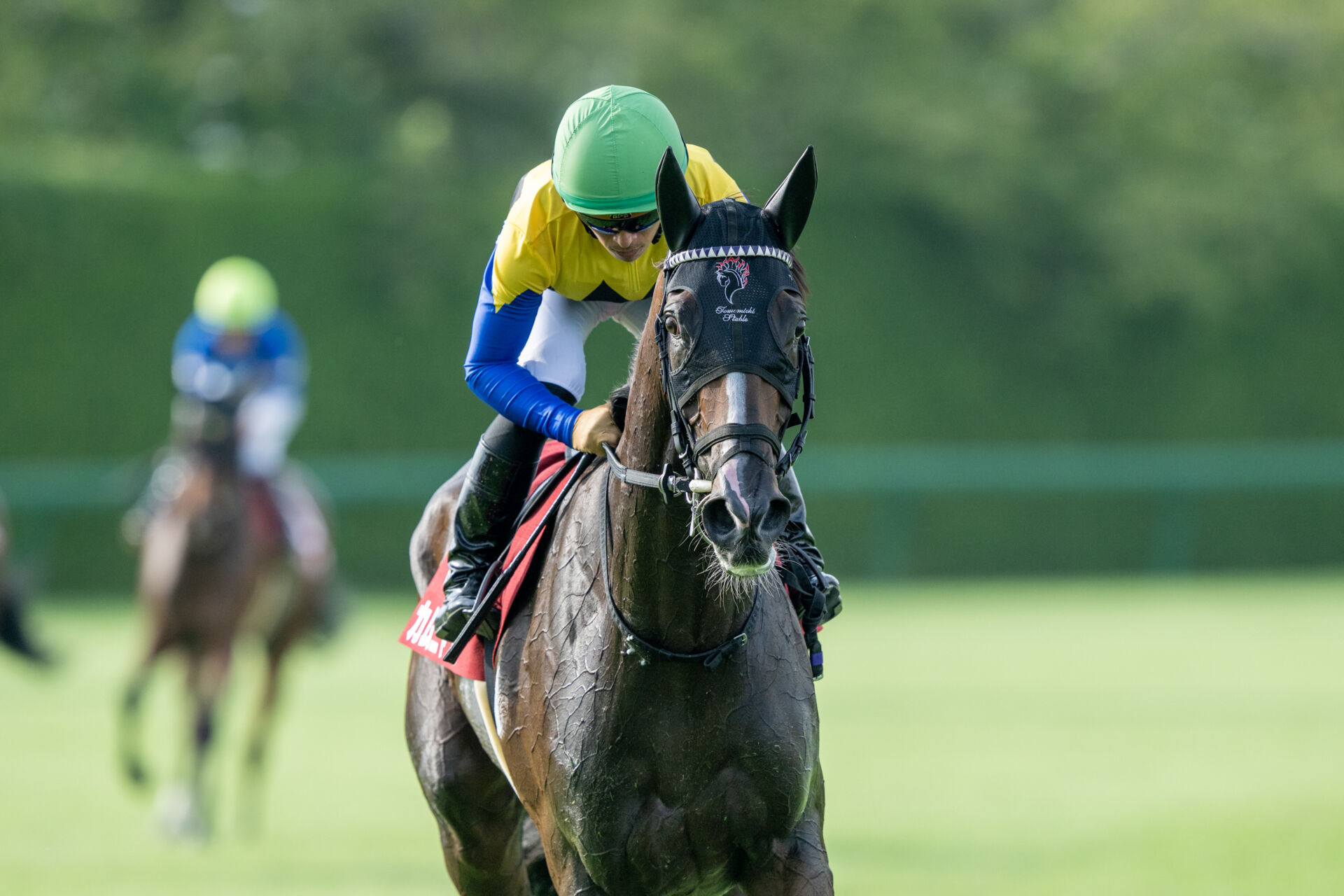 秋華賞】桜花賞馬＆オークス馬が激突…枠順確定 | 競馬ニュースなら競馬