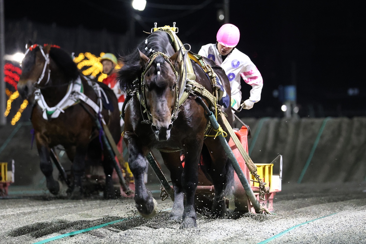 e562fcd74b73d2cd4e8e2dcbe01ec4