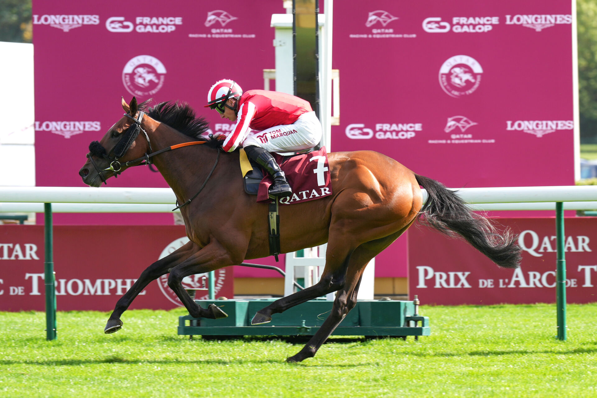 仏カドラン賞】英カバーヨデマール、伝統のマラソンレースを制する
