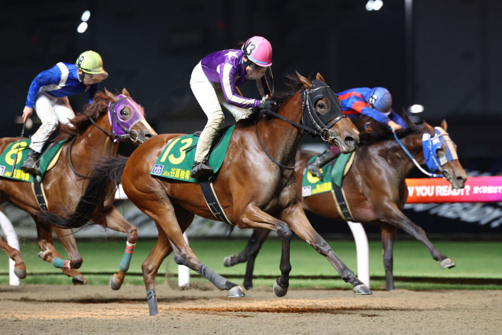 矢作芳人厩舎オリジナル　リスグラシュー　ジャケット　新品未使用品　サイズM 2025年最新】矢作厩舎の人気アイテム - メルカリ