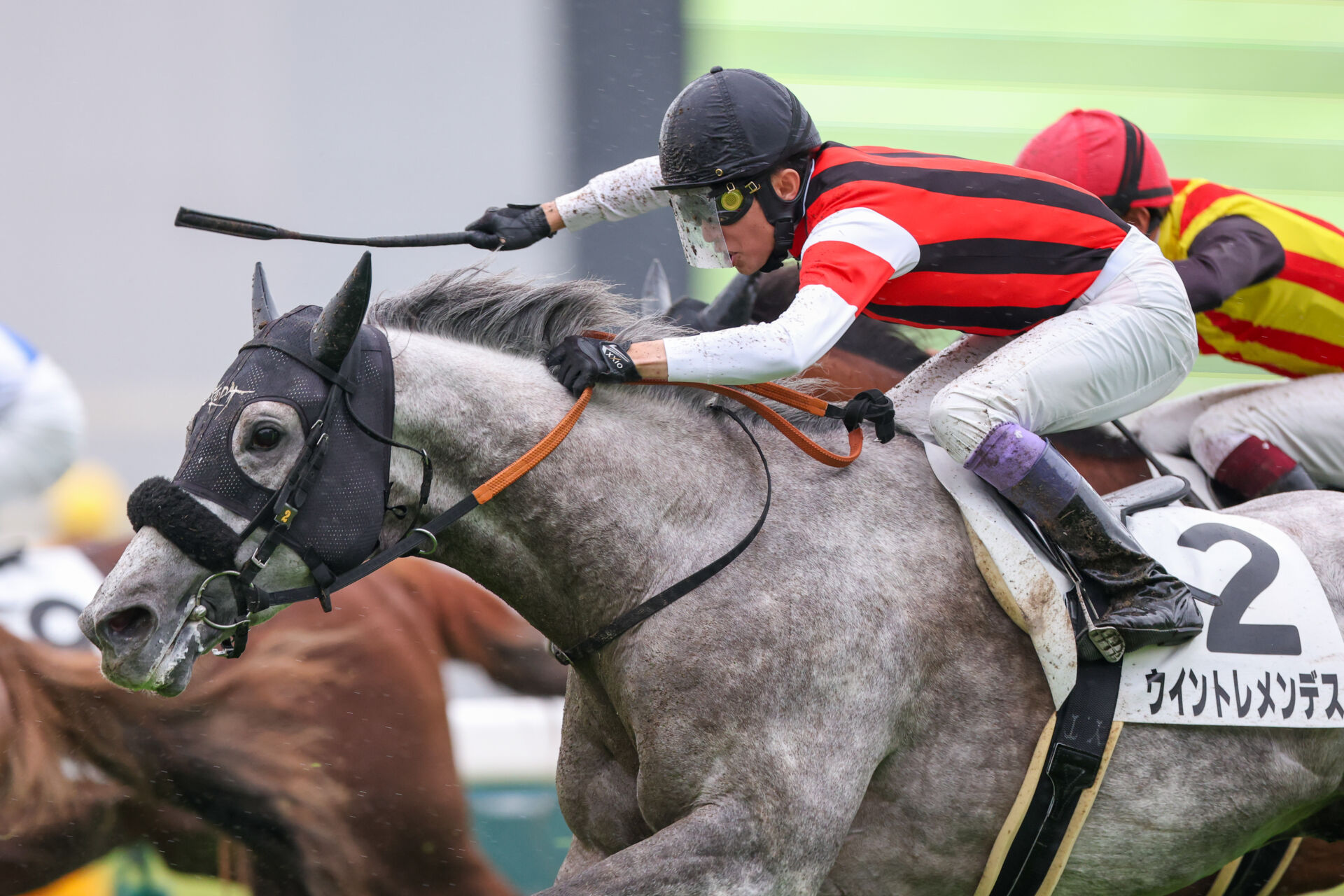 京都8R】7番人気の伏兵、武豊ウイントレメンデスの鮮やかな差し切りが