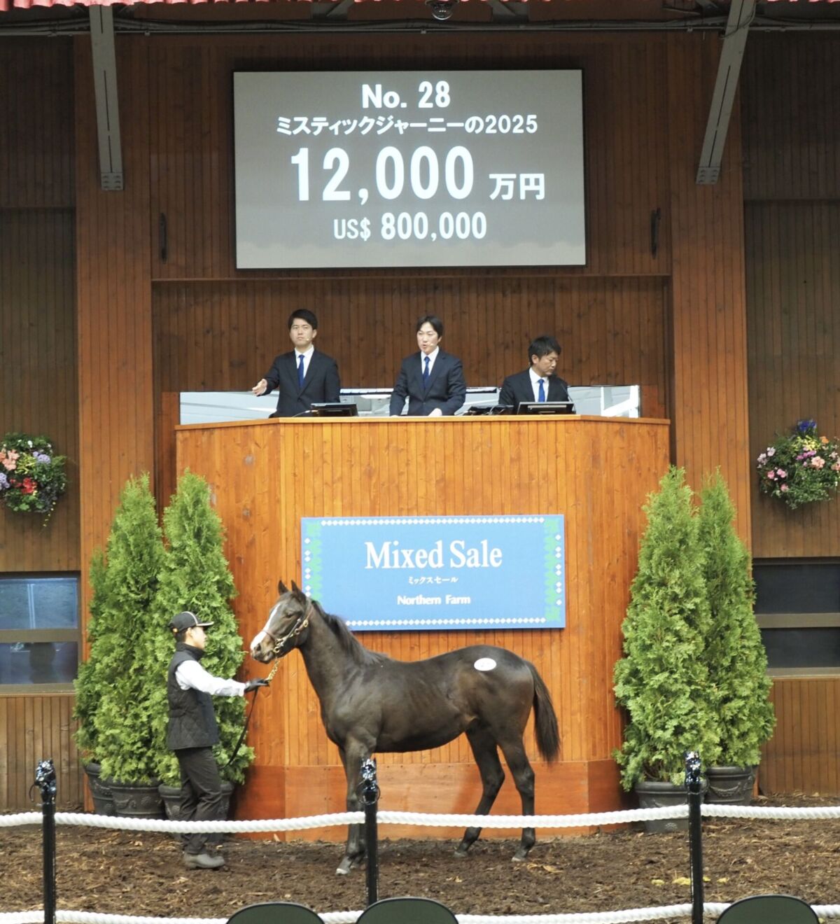 イクイノックス　新聞記事 ミックスセール2025】イクイノックス産駒、最後の上場馬は1億