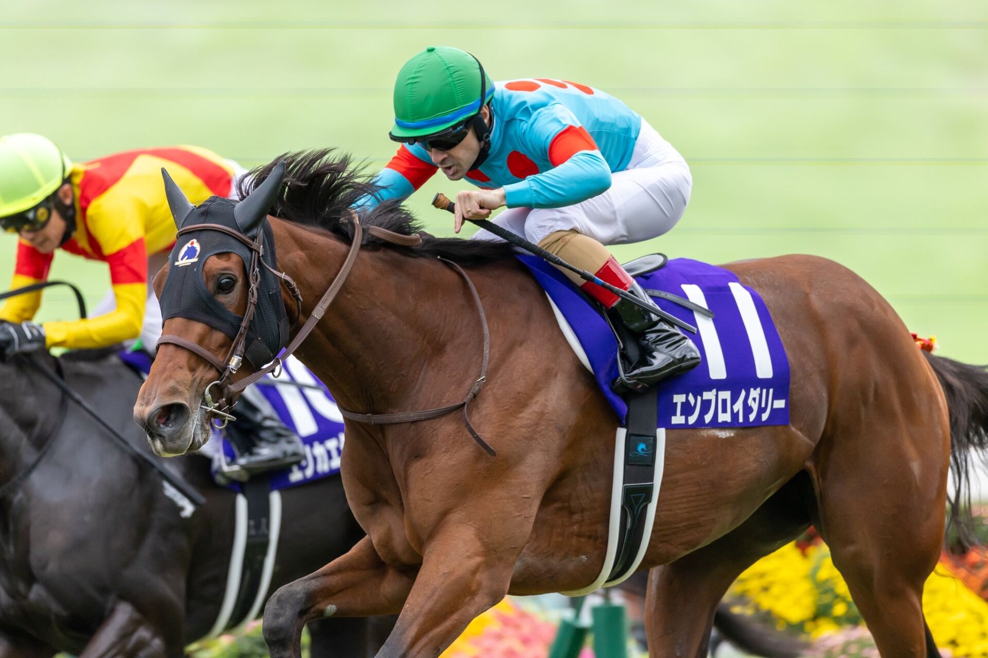 秋華賞】ルメール騎乗 エンブロイダリーが二冠達成…カムニャックは馬群
