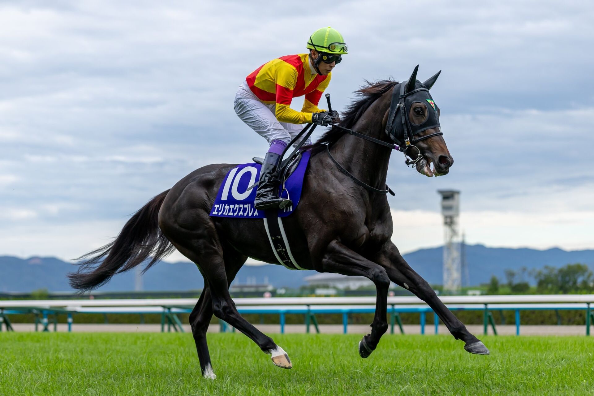 秋華賞】武豊「クリストフは流石」レース後ジョッキーコメント | 競馬