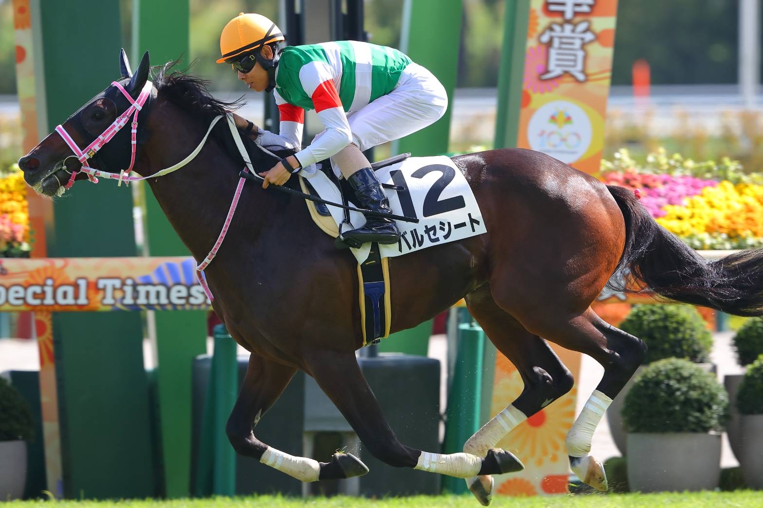 新馬/京都6R】レシステンシア半弟 バルセシートがデビューV | 競馬