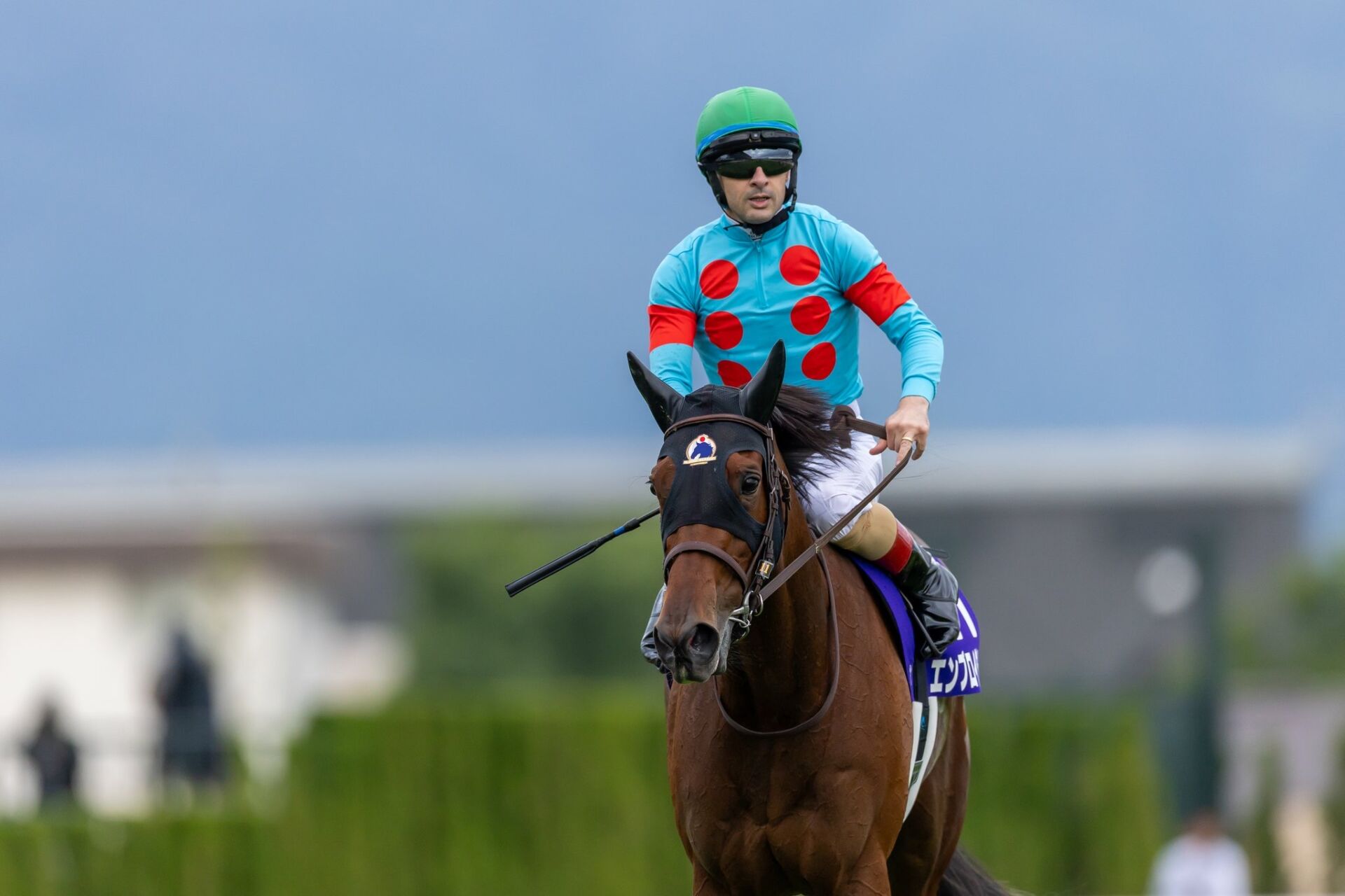 BD57B03C-87CB-41D5-B605-