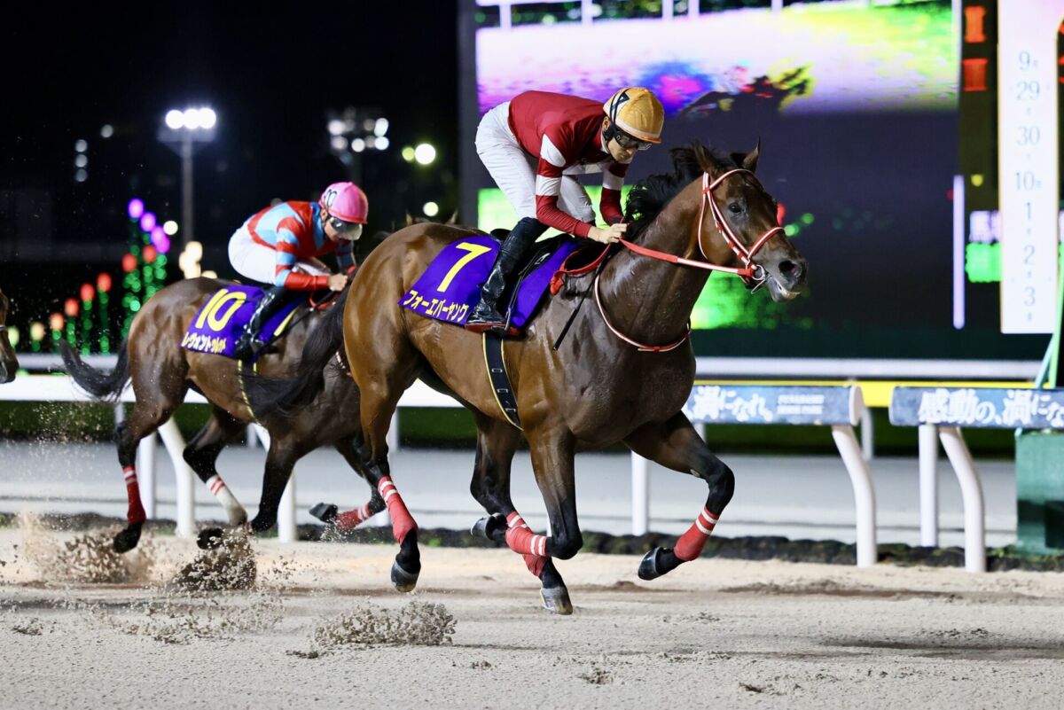 競馬 シンキングダンサー - Thinking Dancer - 競走馬データベース