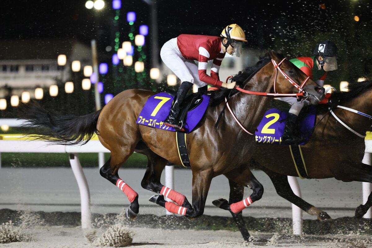 矢作師「寂しいですね」リスグラシュー引退式が行われる | 競馬