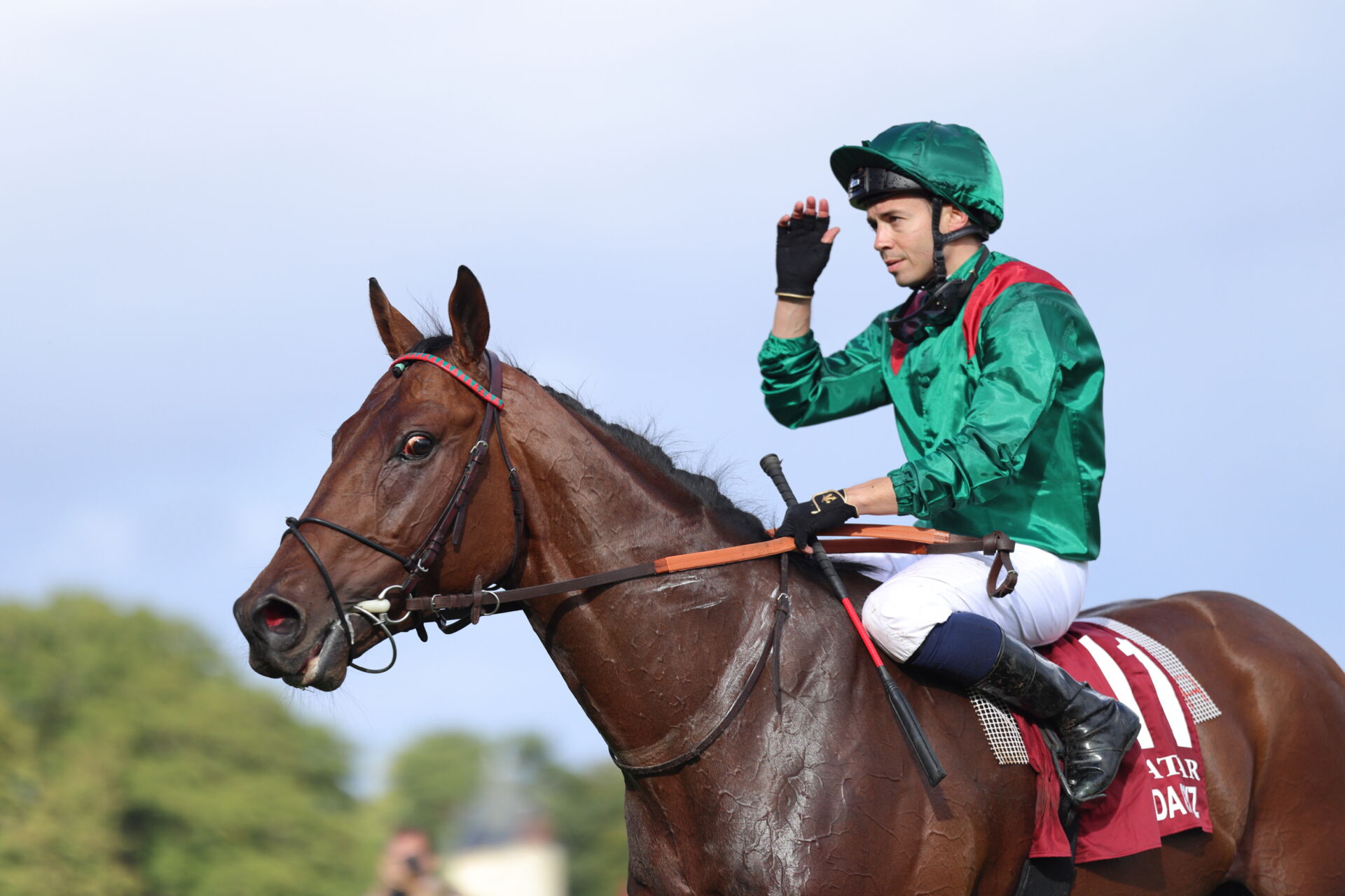 凱旋門賞】バルザローナ「ミニーホークを目標にした」伏兵ダリズが差し