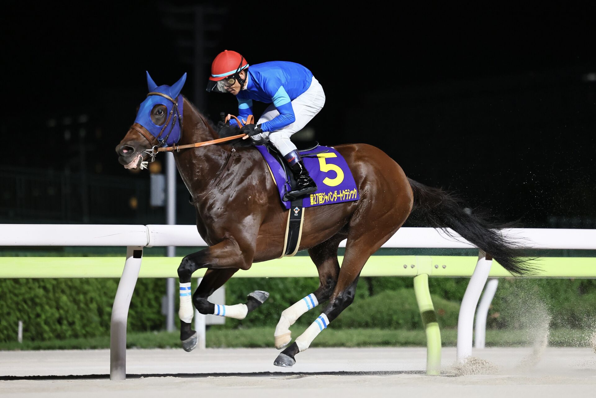 チャンピオンズカップ登録馬】4連勝中ナルカミなど24頭がエントリー