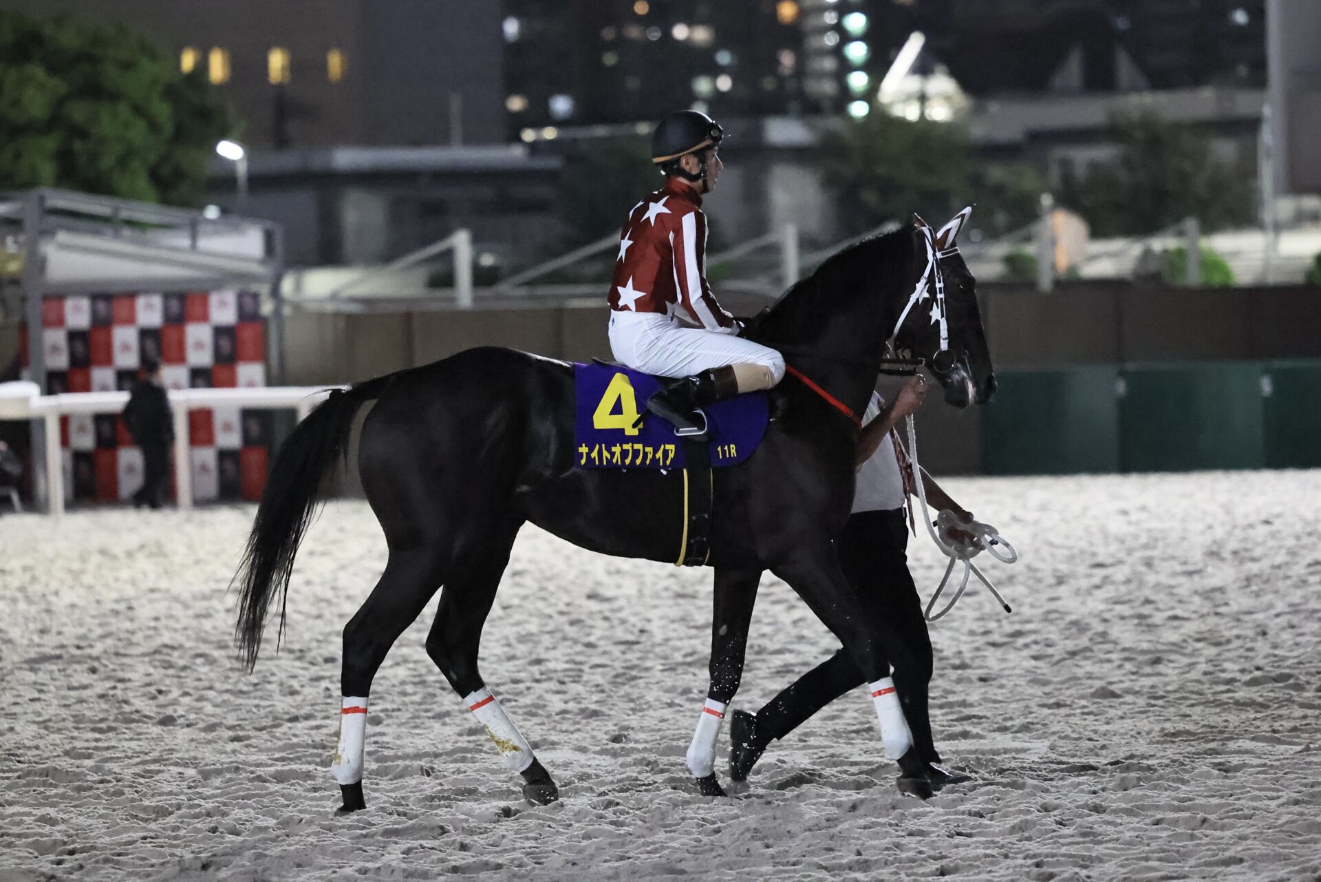 ジャパンダートクラシック】矢野「これからの馬です」大井のナイトオブ