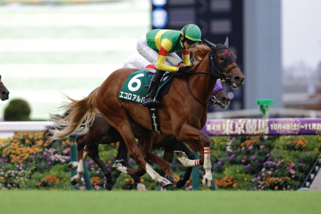 イクイノックス　ドバイシーマクラシック ドバイシーマクラシック】イクイノックスが大楽勝…逃げ切りで