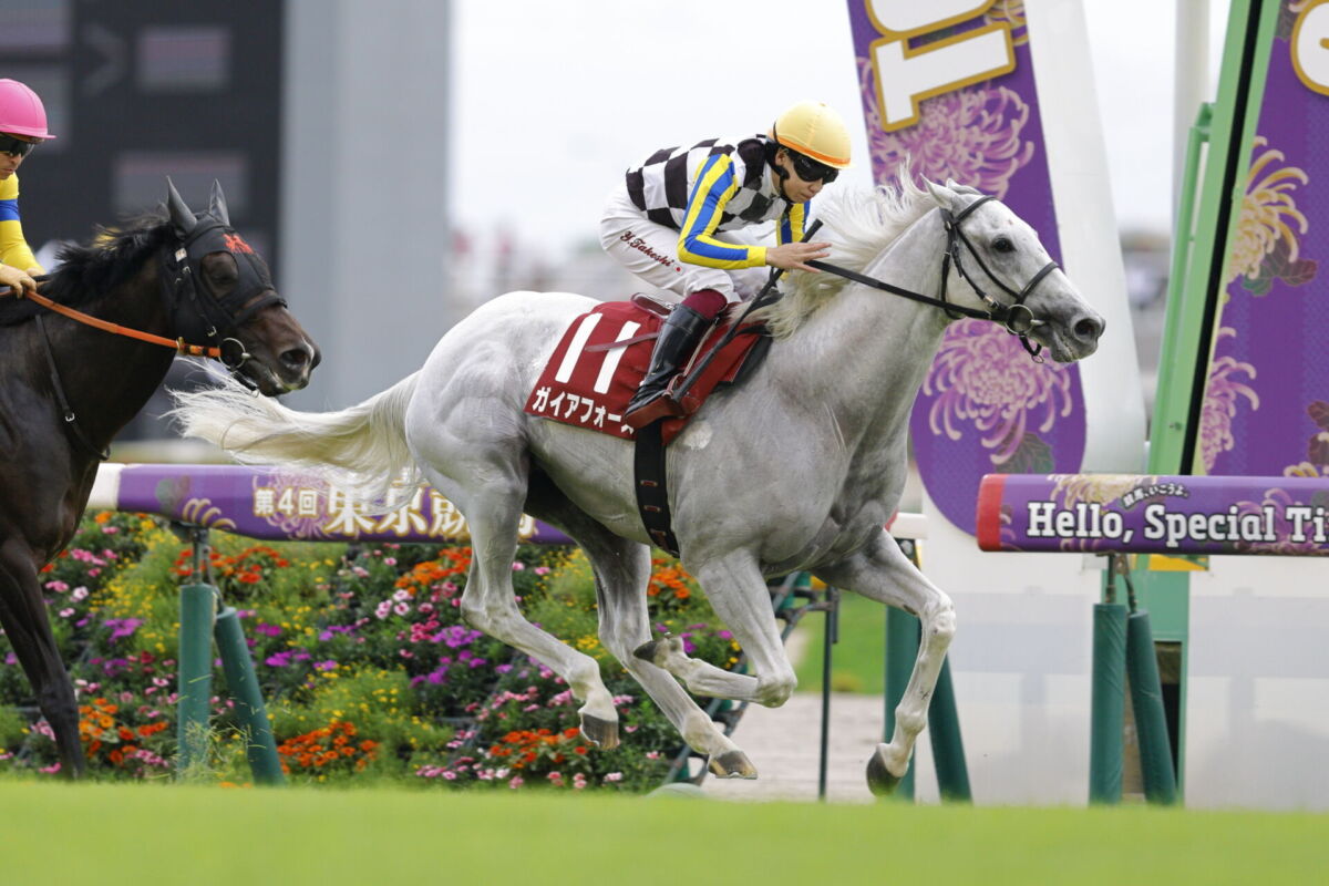 お取り置きドウデュース ガイアフォース 新馬戦 新たな『伝説の新馬戦』か 昨年9月の“ドウデュース組”から再び重